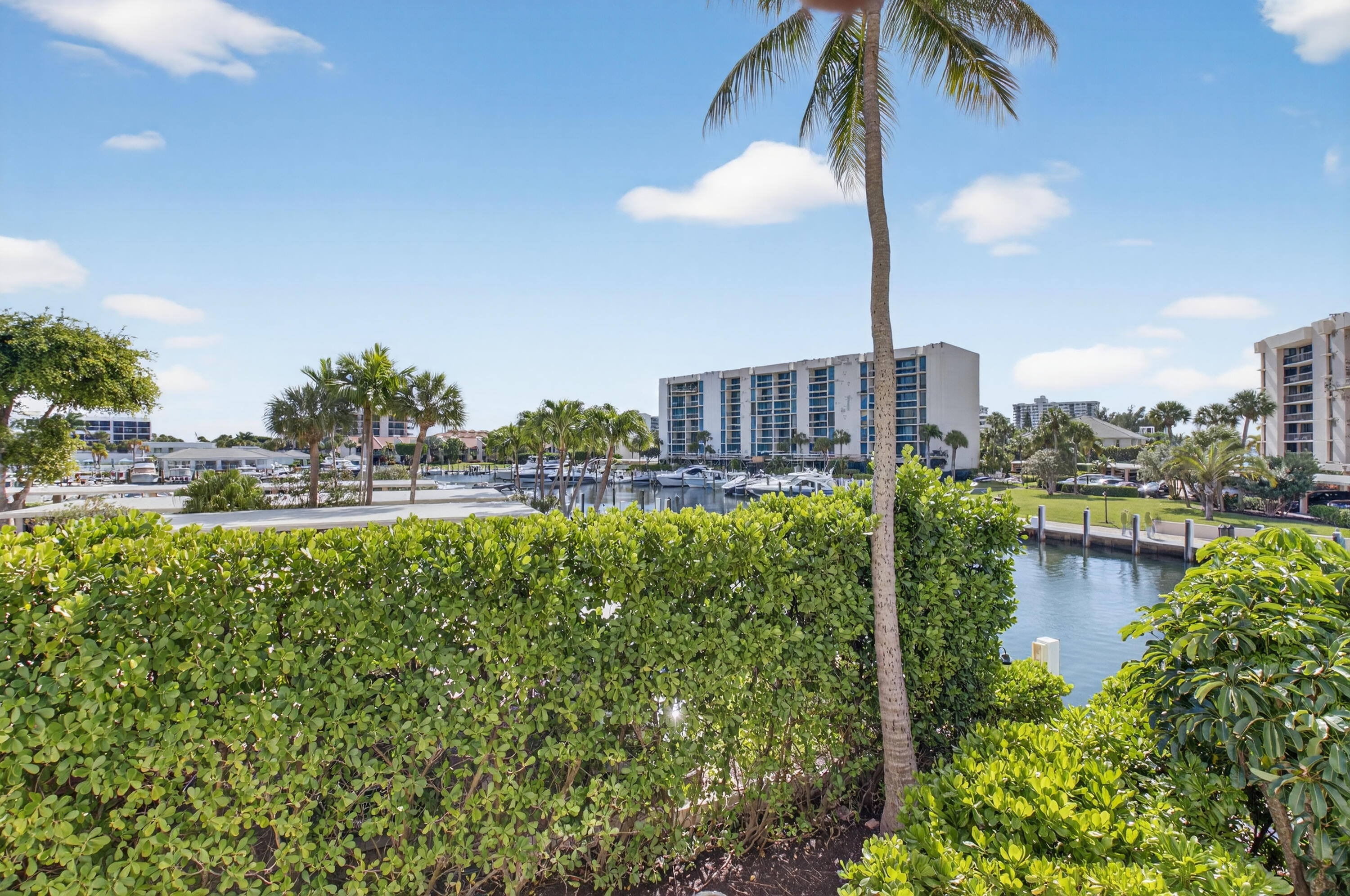 Boca Raton photo 4