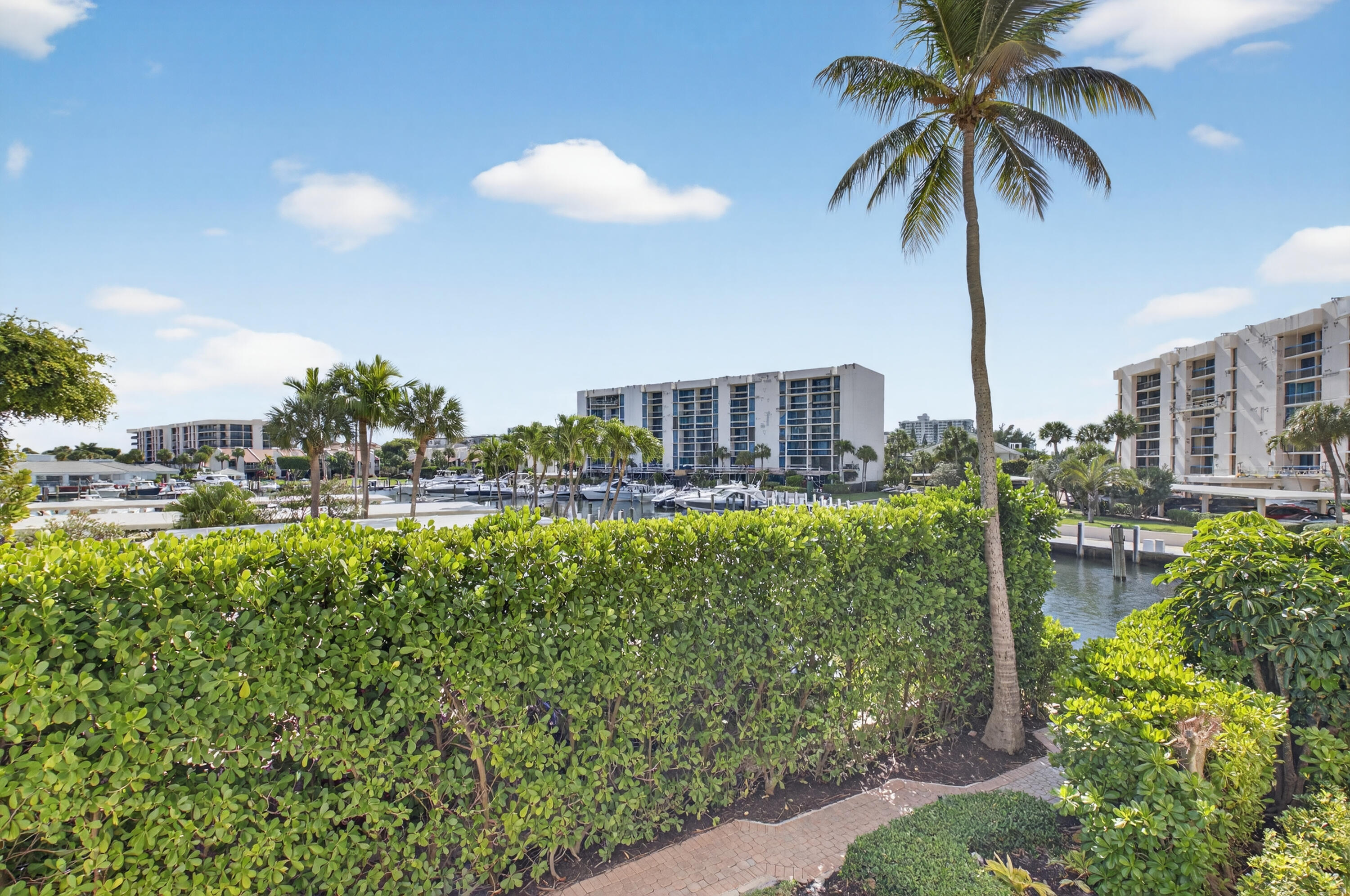 Boca Raton photo 5