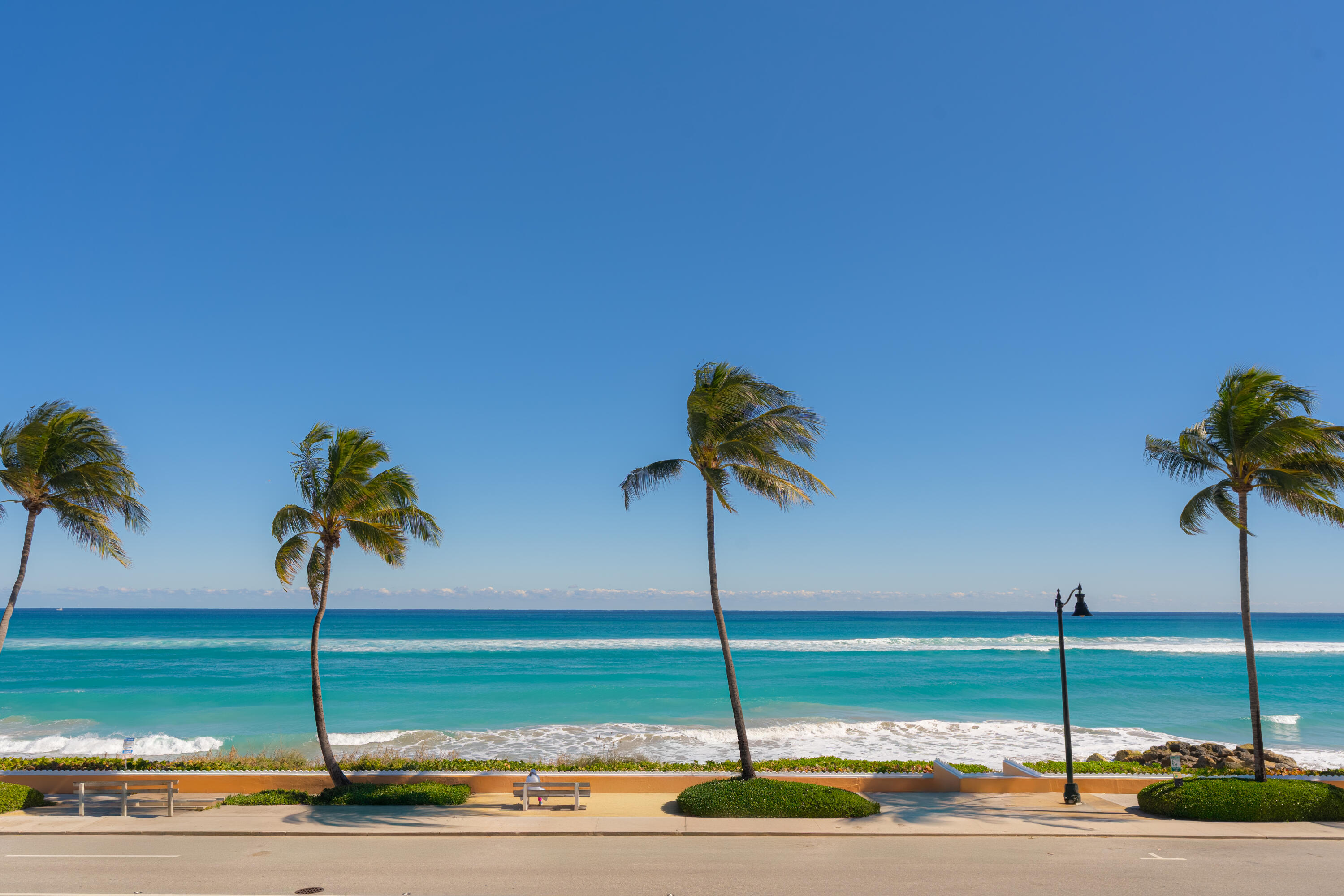 Palm Beach photo 3