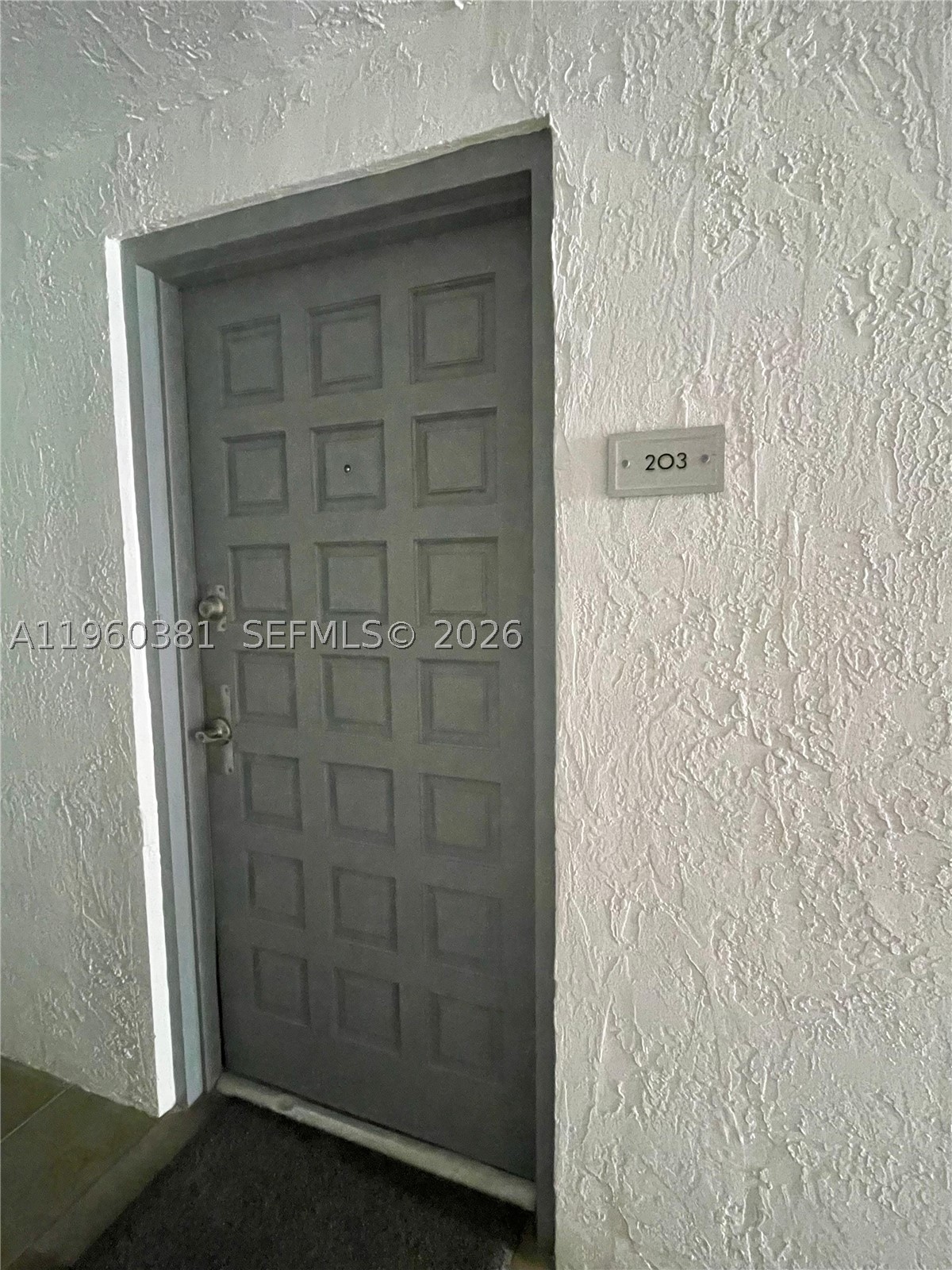Miami photo 1