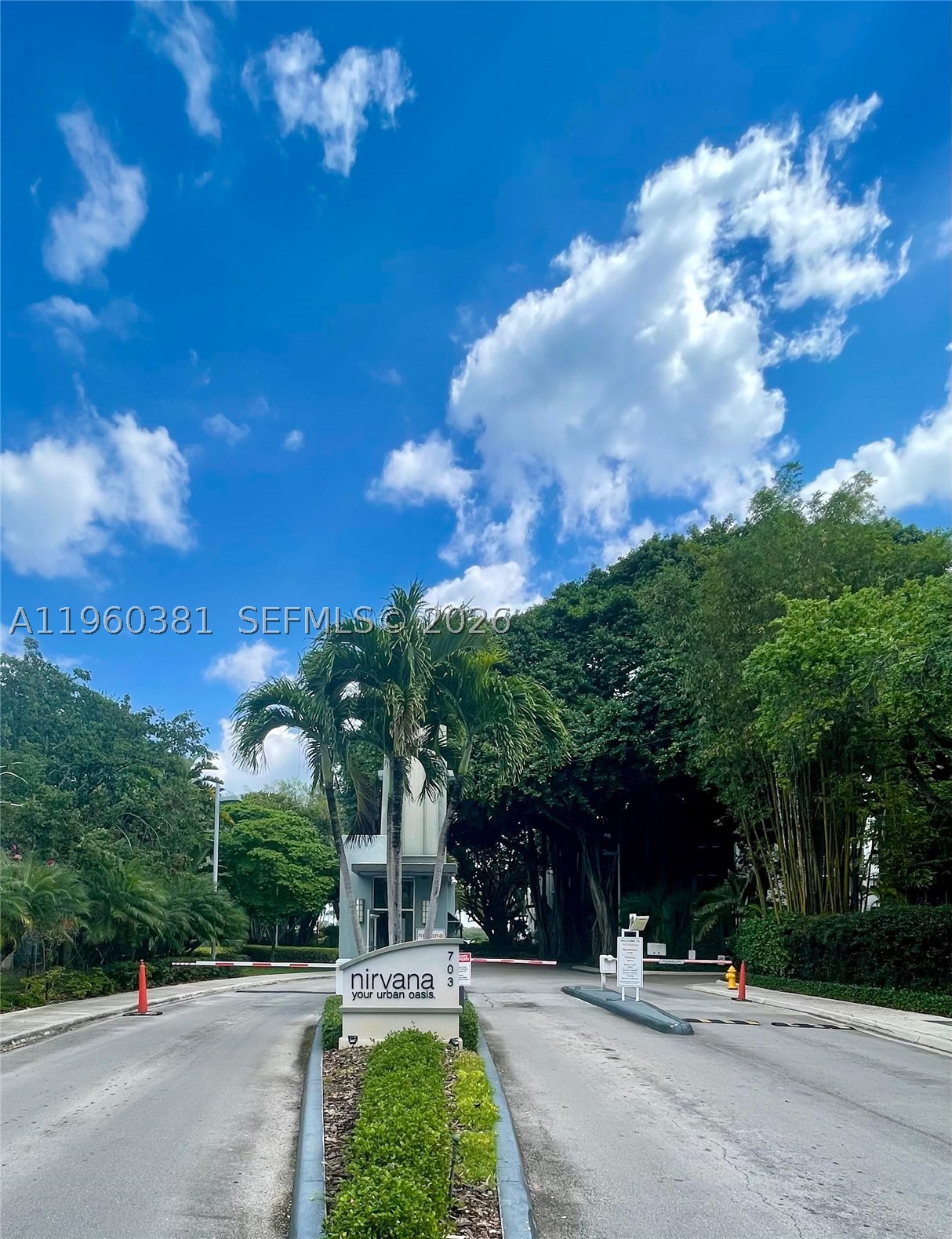 Miami photo 2