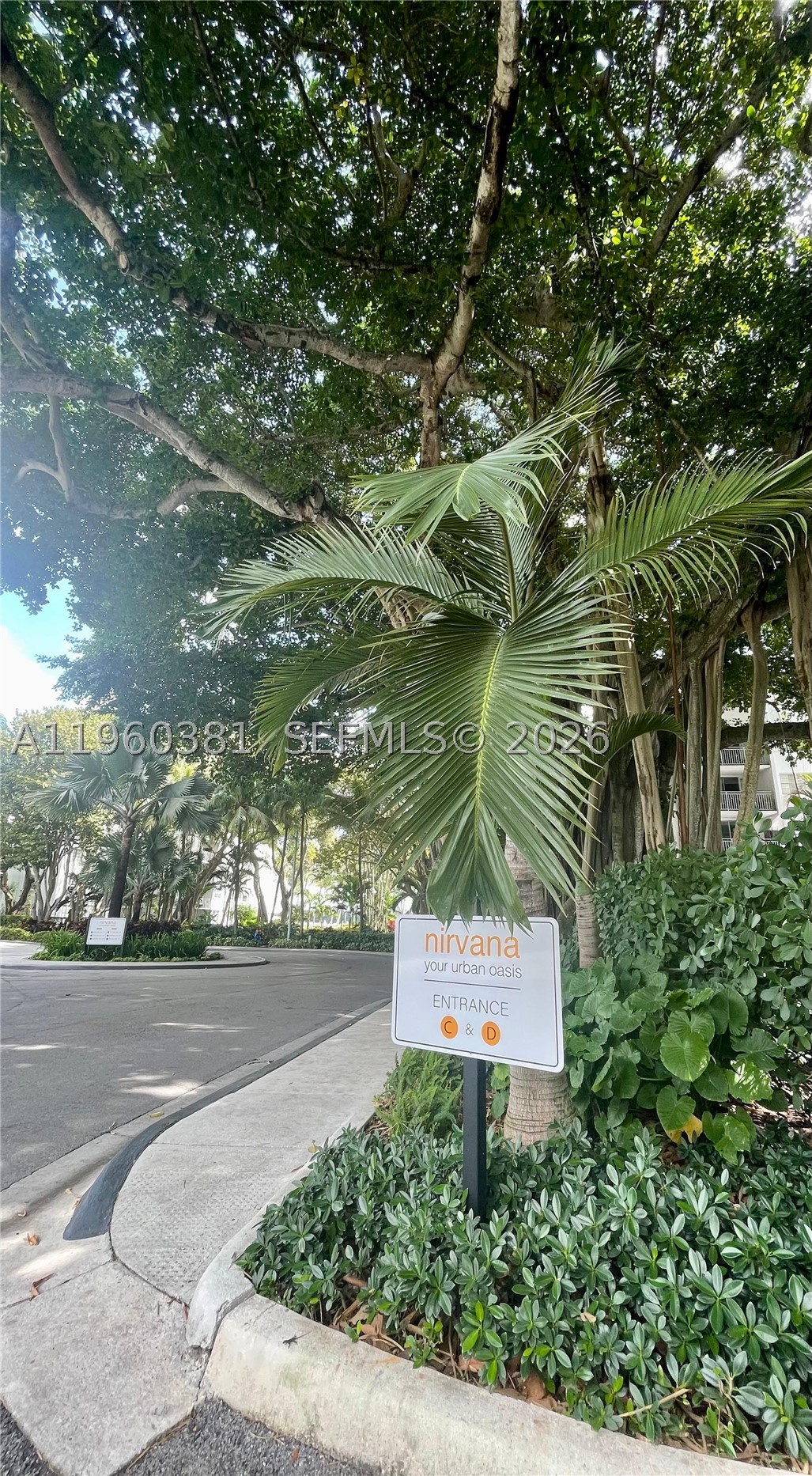 Miami photo 3