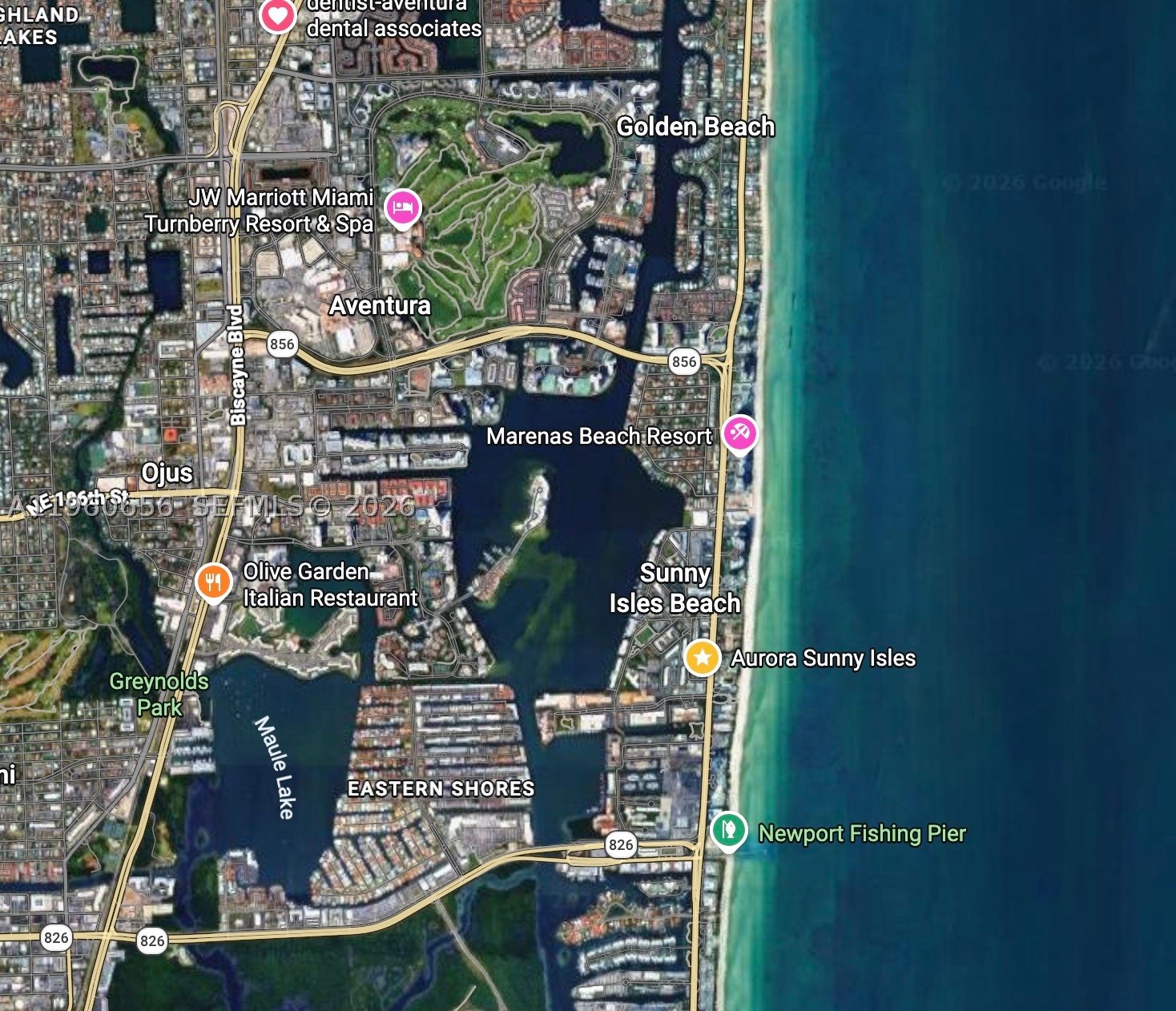 Sunny Isles Beach photo 1