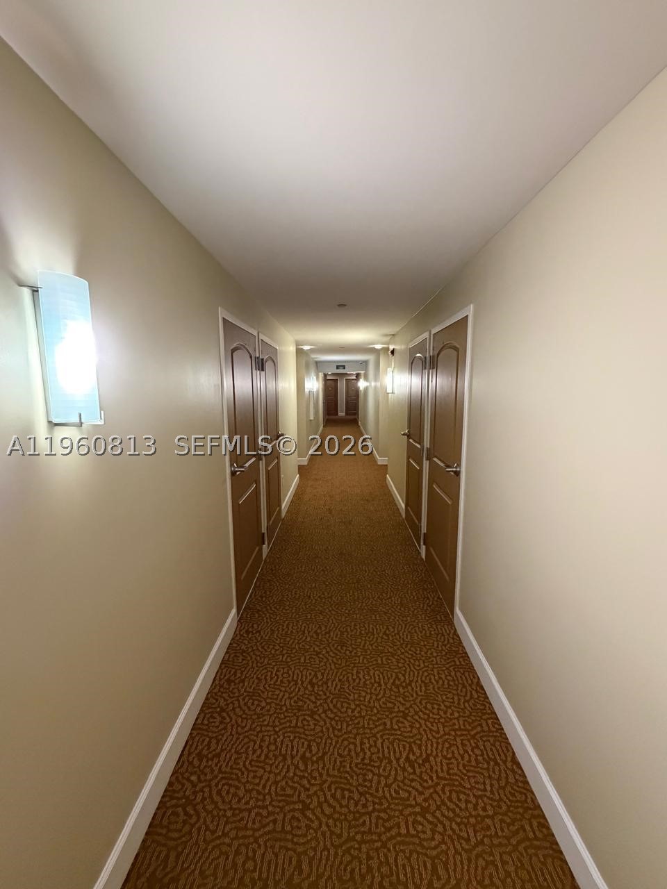 Miami photo 5