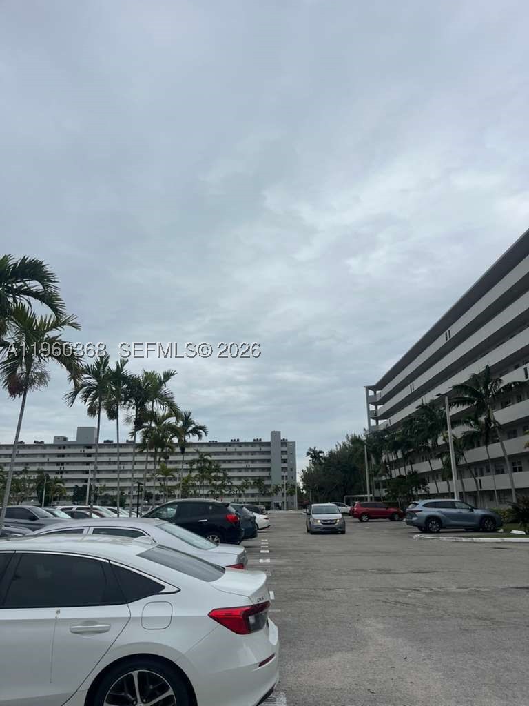 Miami photo 5