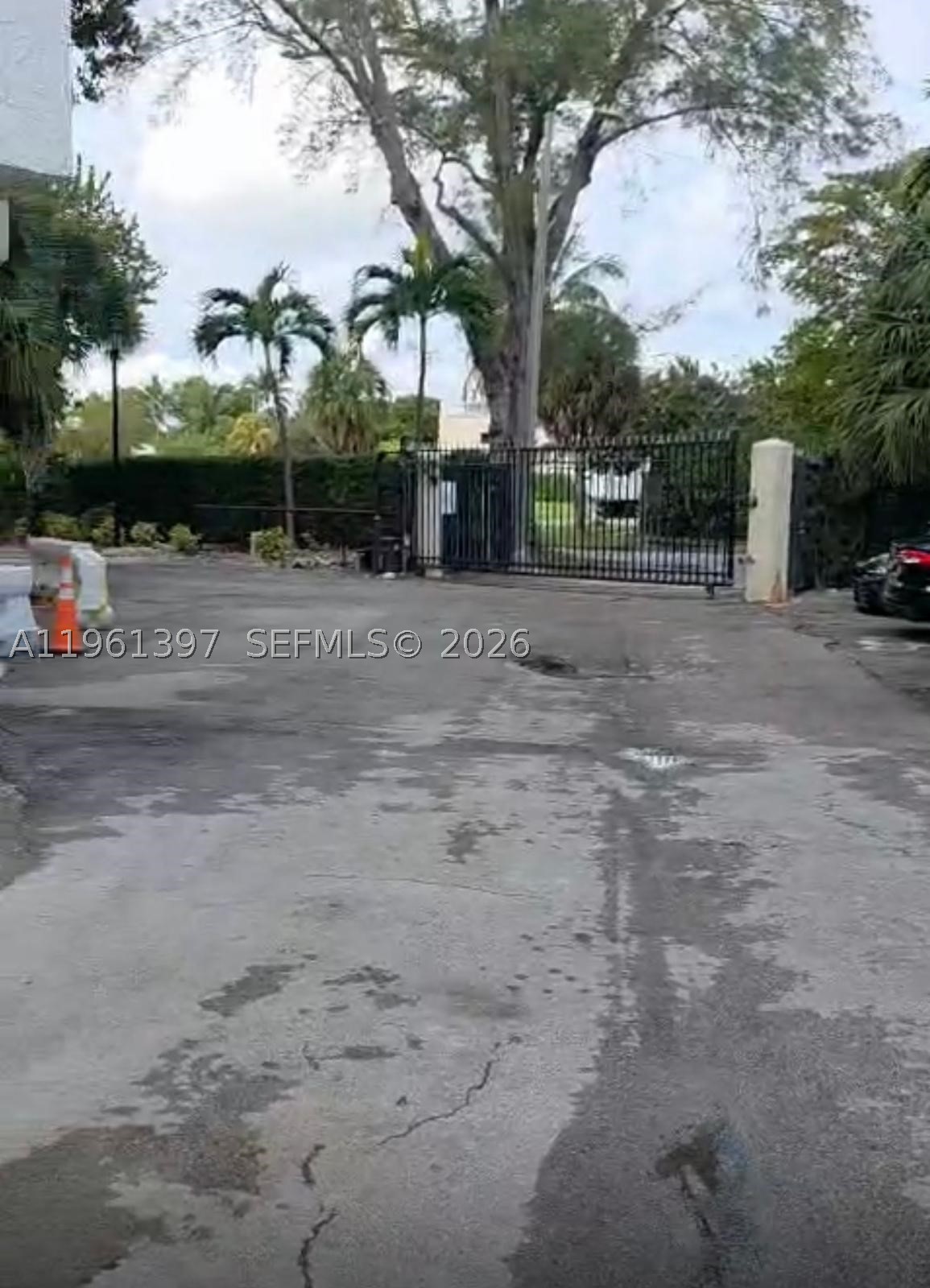 Miami photo 2