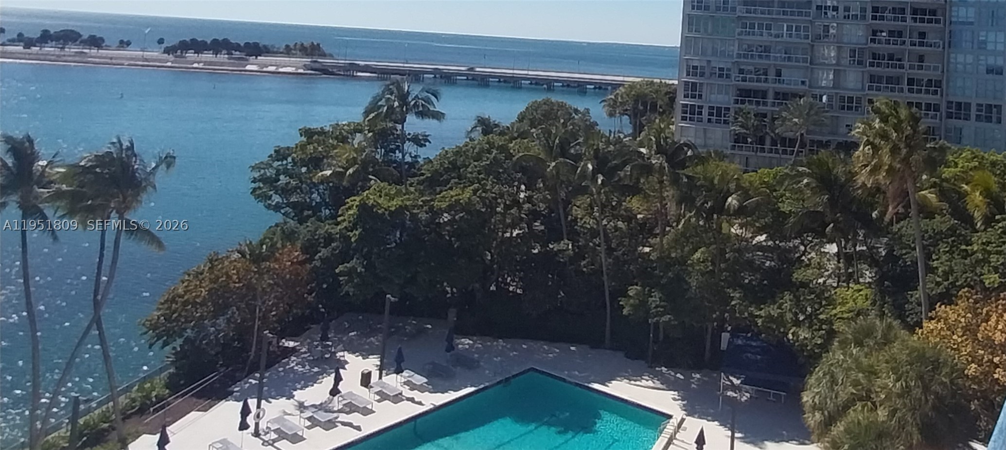 Miami photo 3