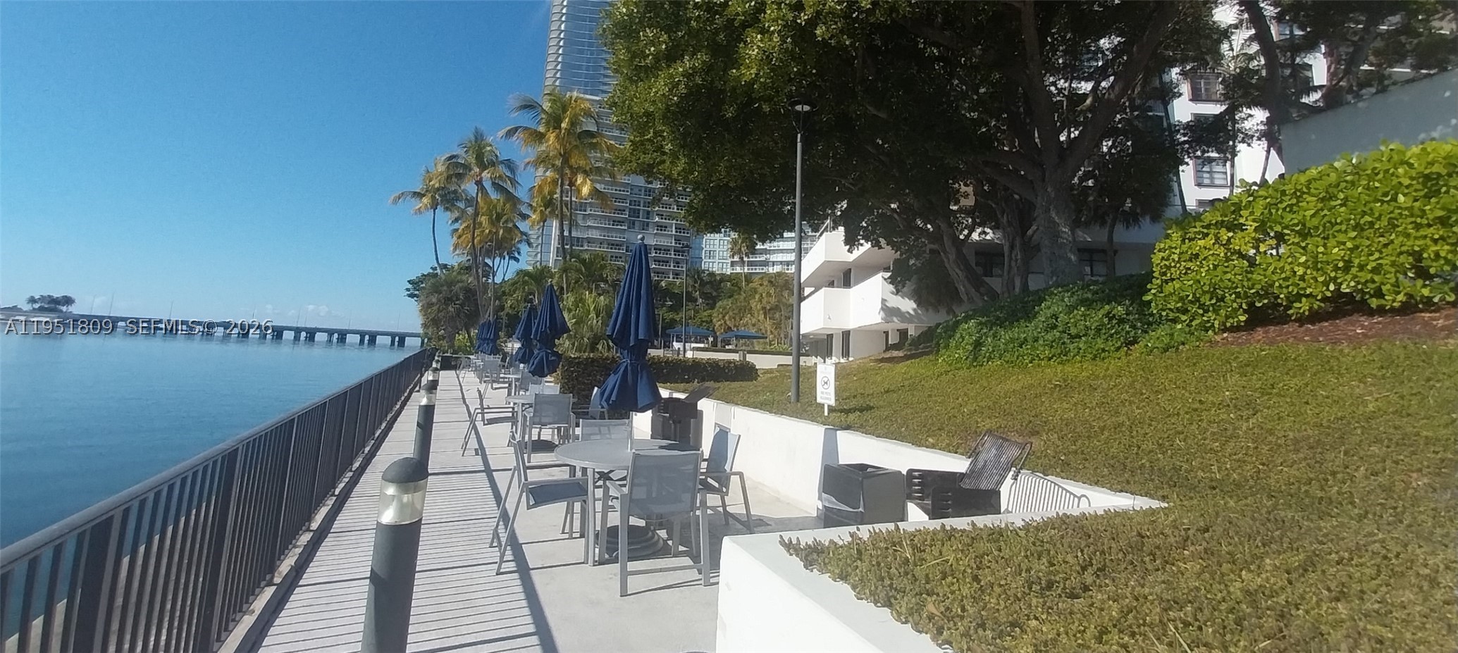 Miami photo 5