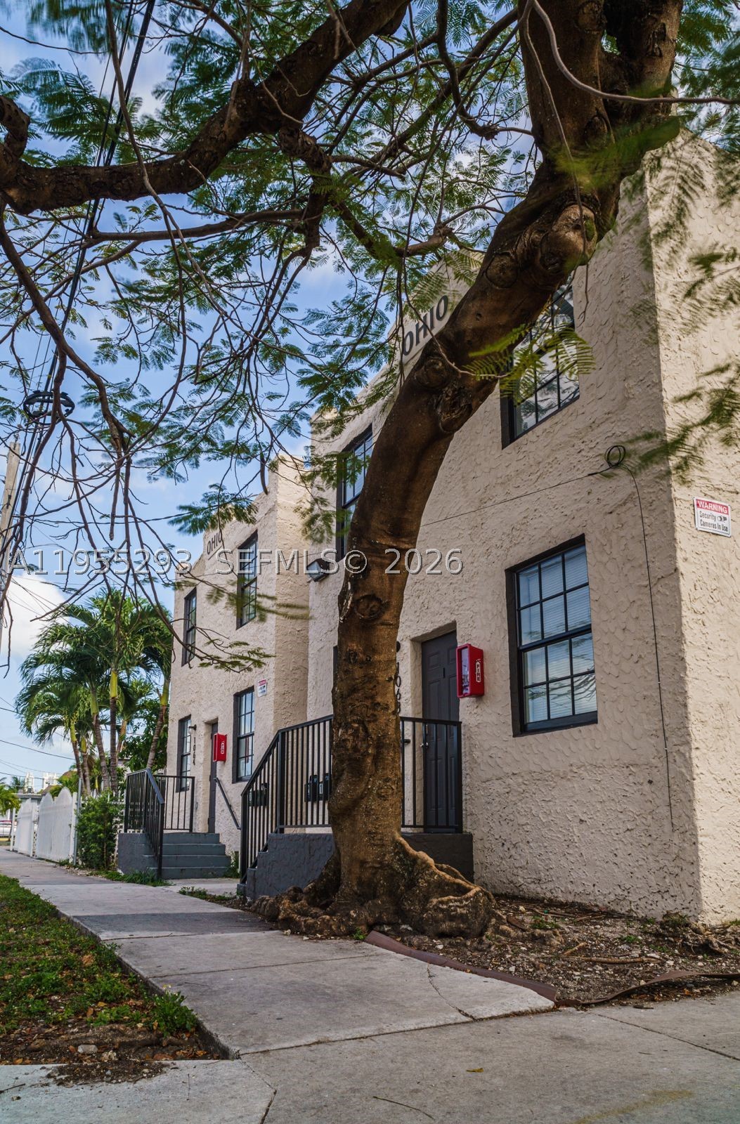 Miami photo 5
