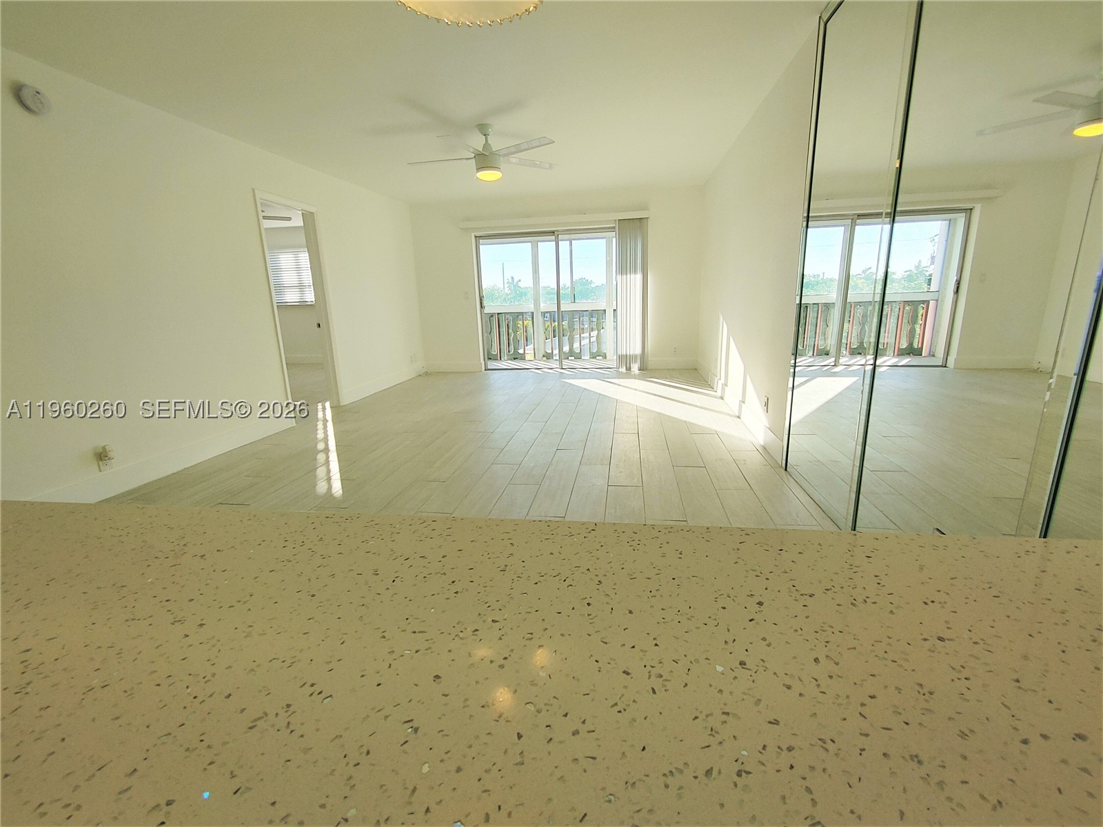 Hallandale Beach photo 1