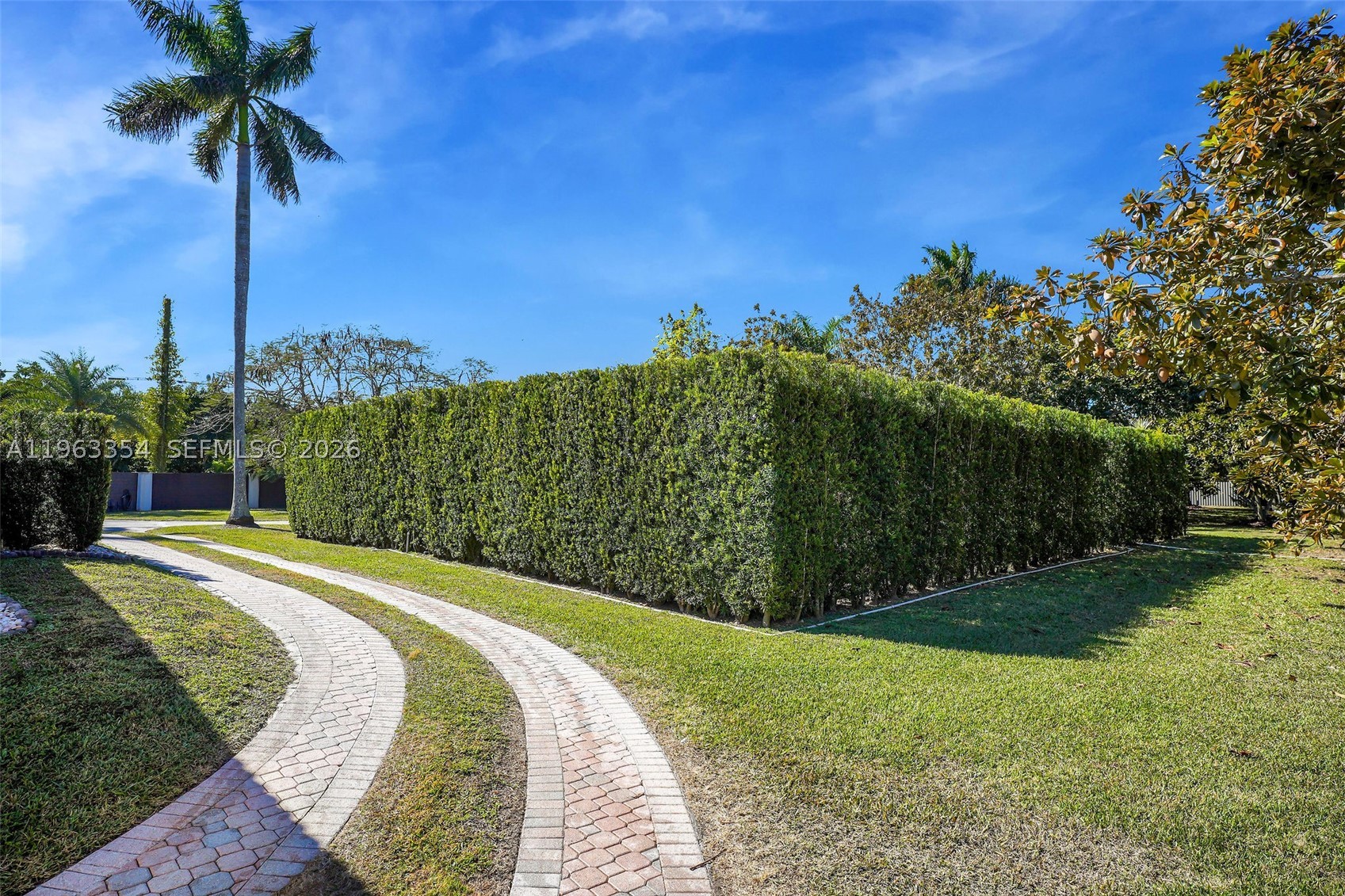 Miami photo 3