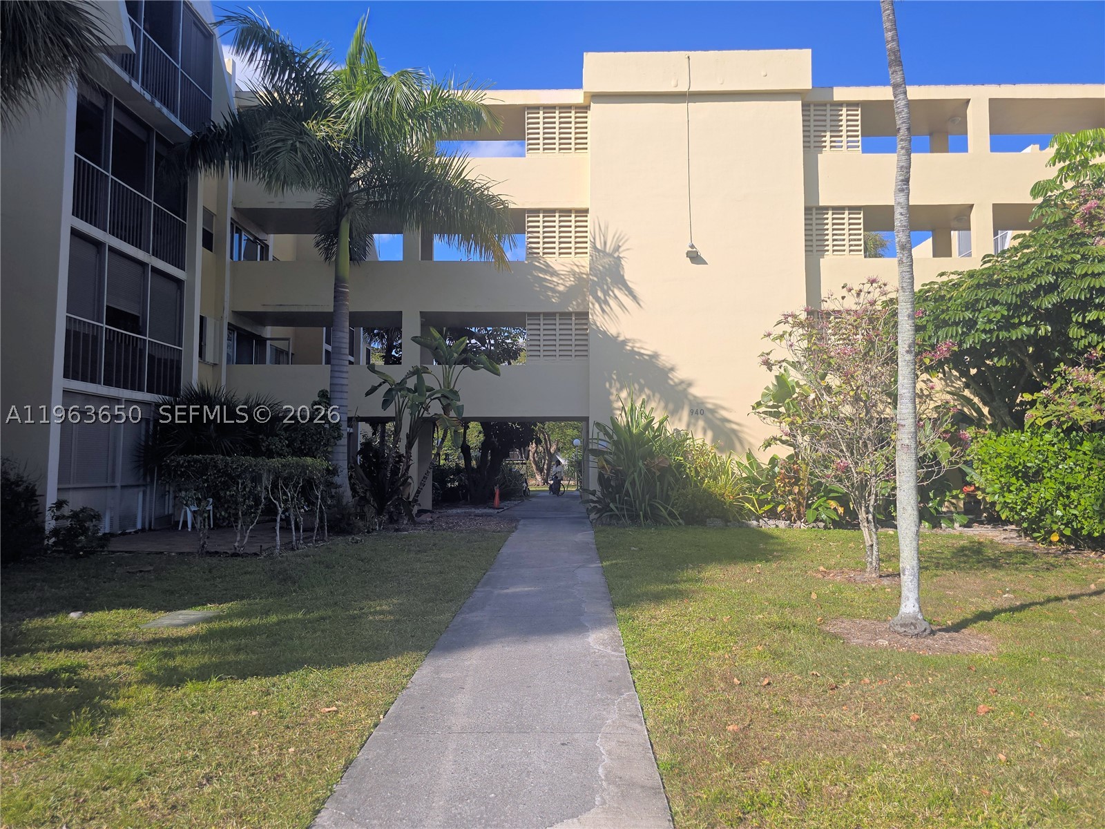 Miami photo 2