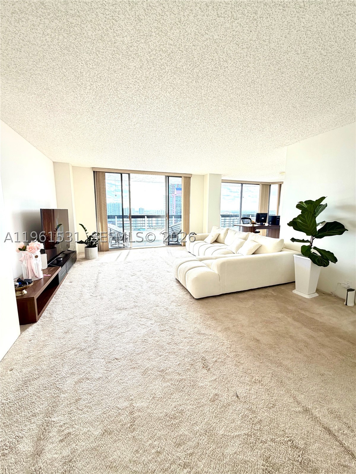 Aventura photo 3