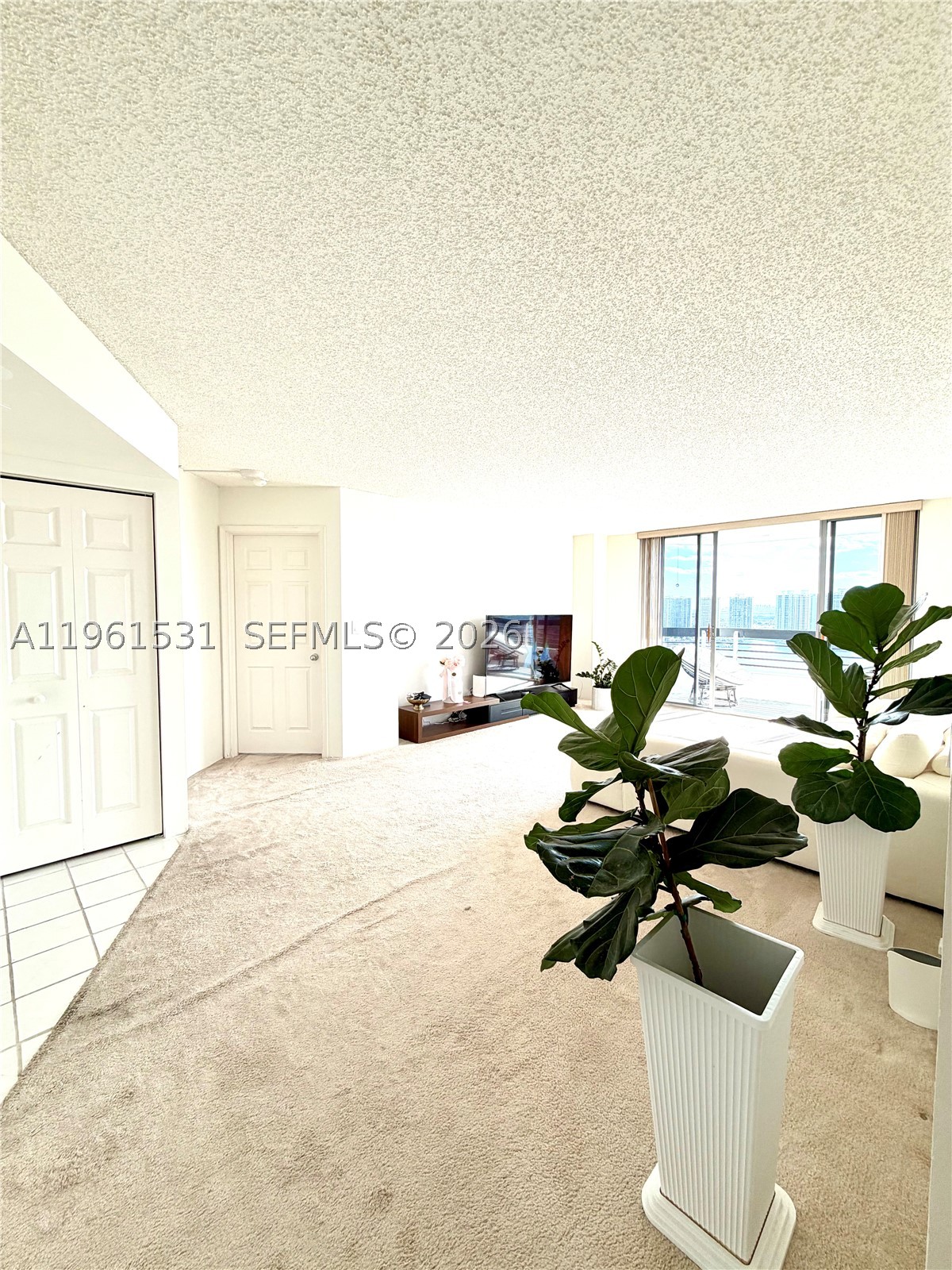 Aventura photo 5