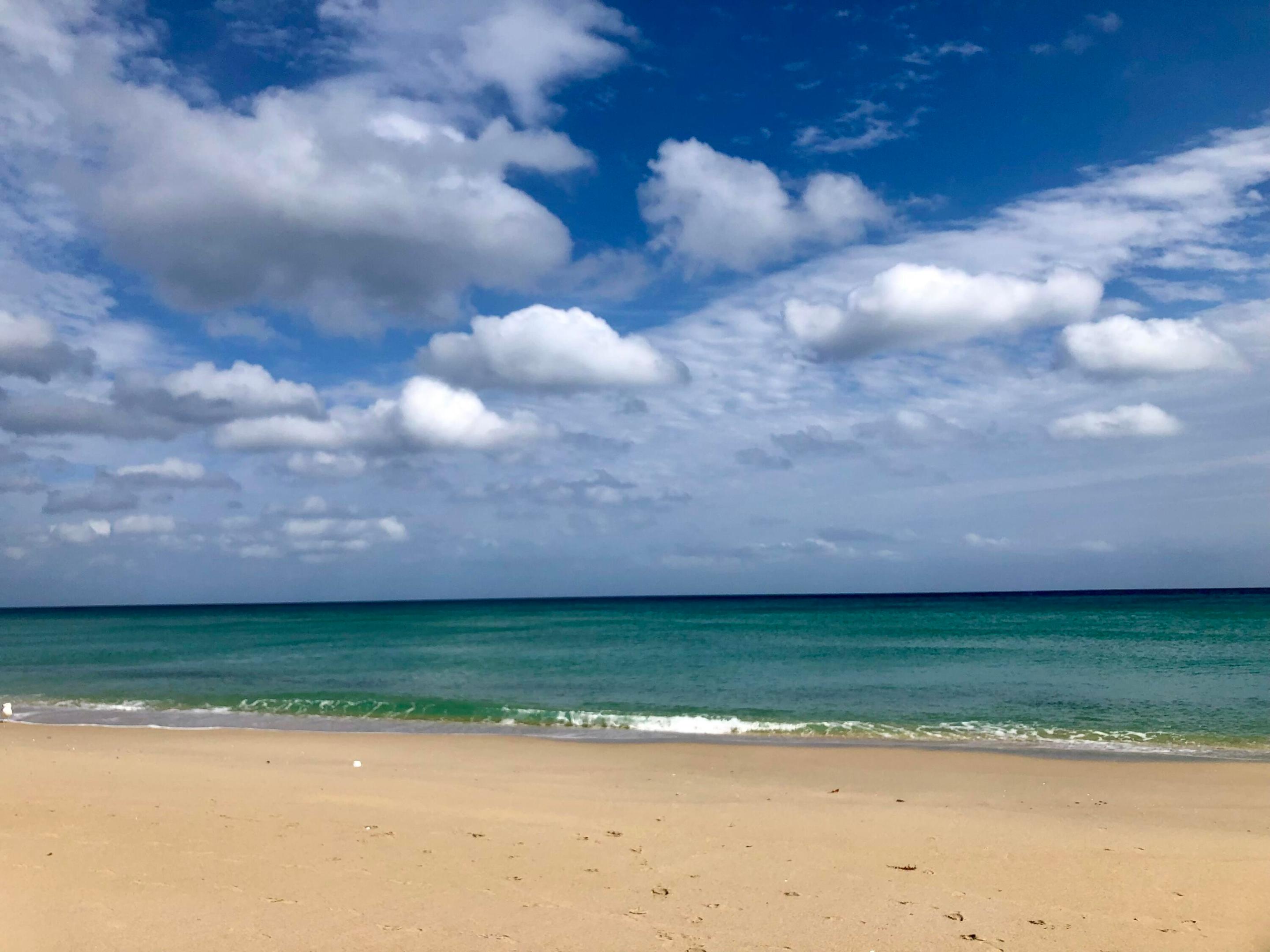 Palm Beach
