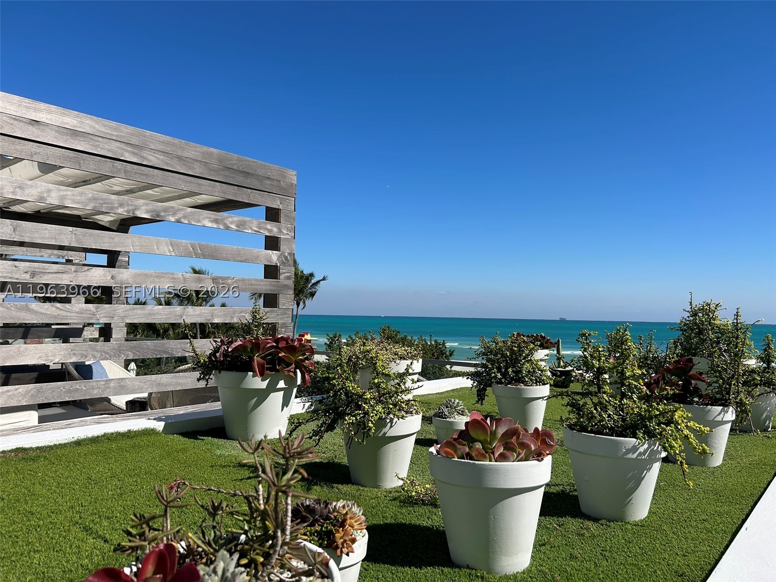 Miami Beach photo 5