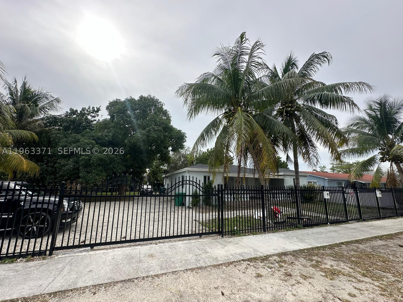 Miami photo 1