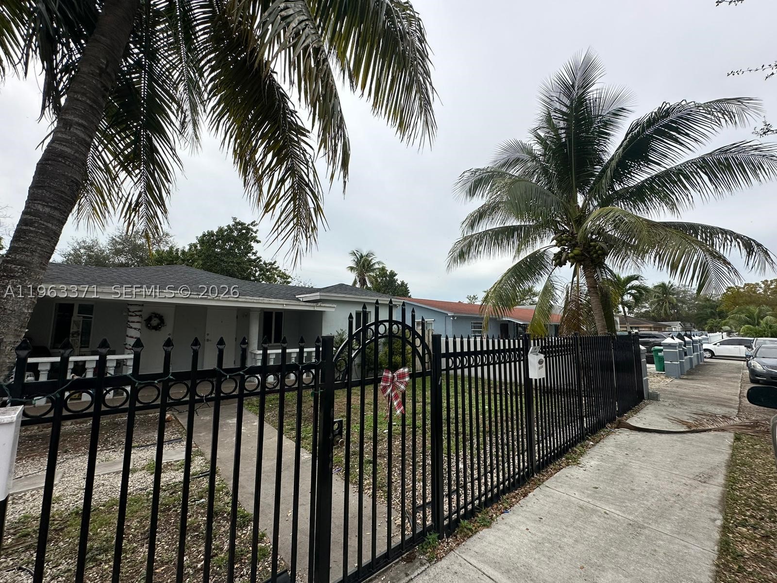 Miami photo 2