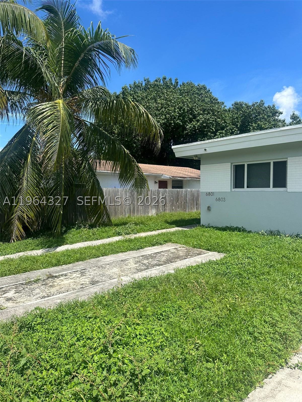 Miami photo 3