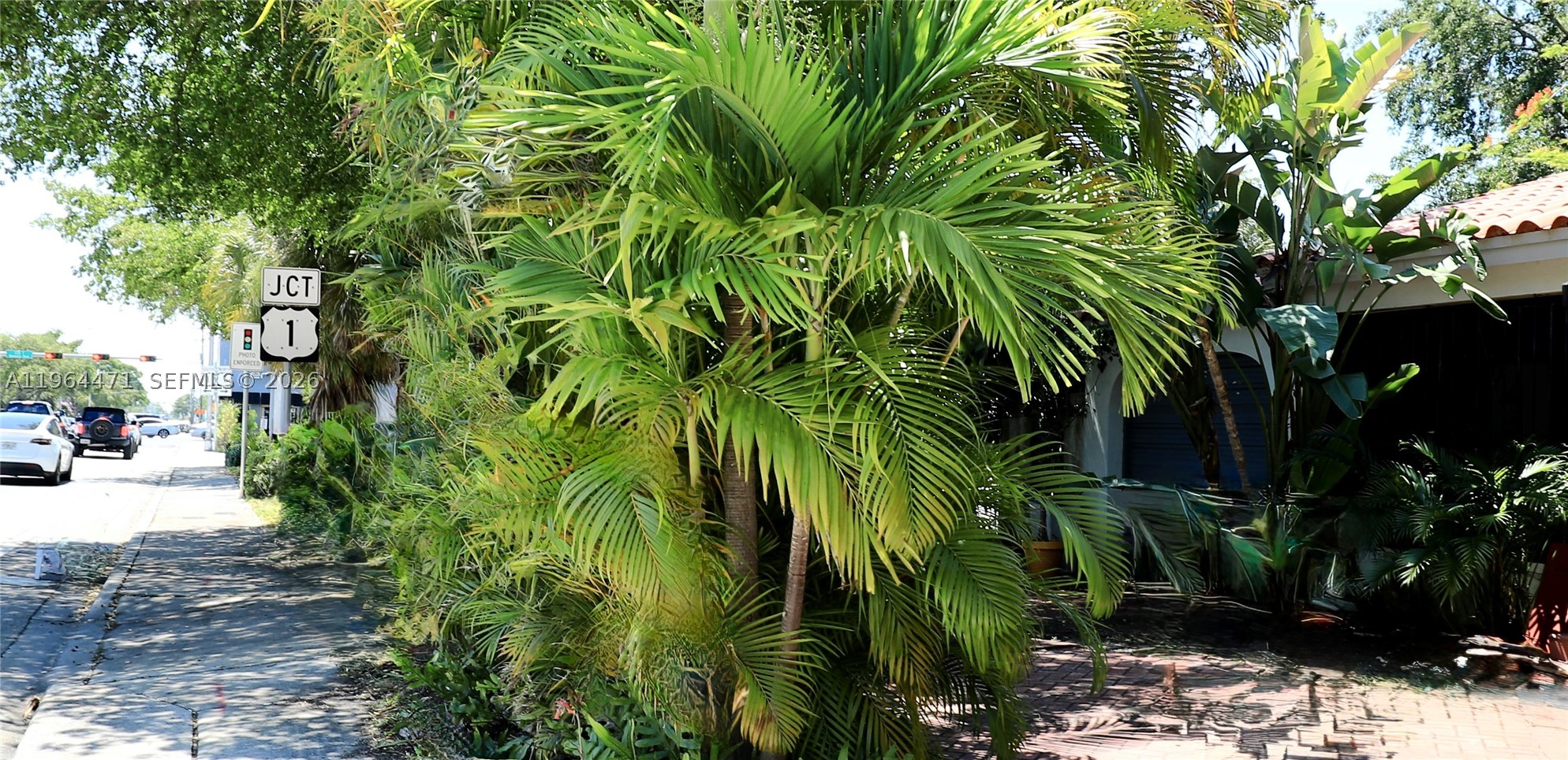 Miami photo 2