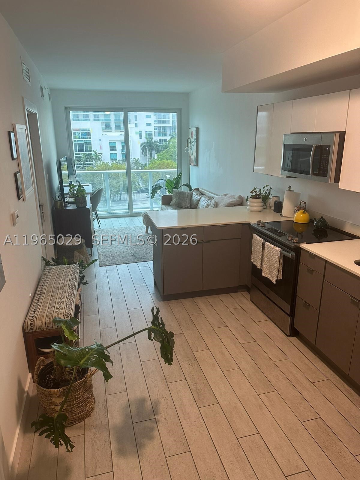 Miami photo 1
