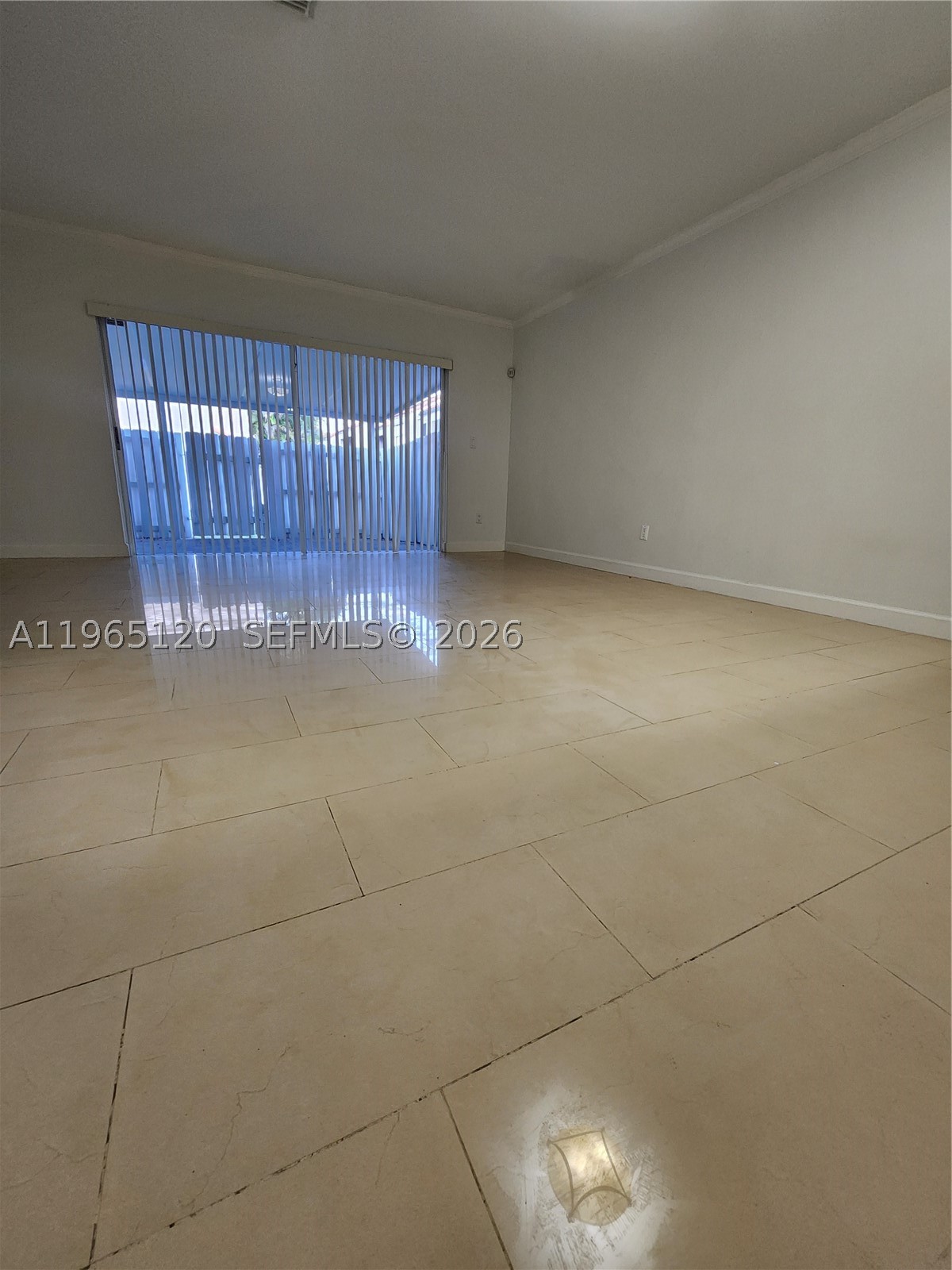 Miami photo 4