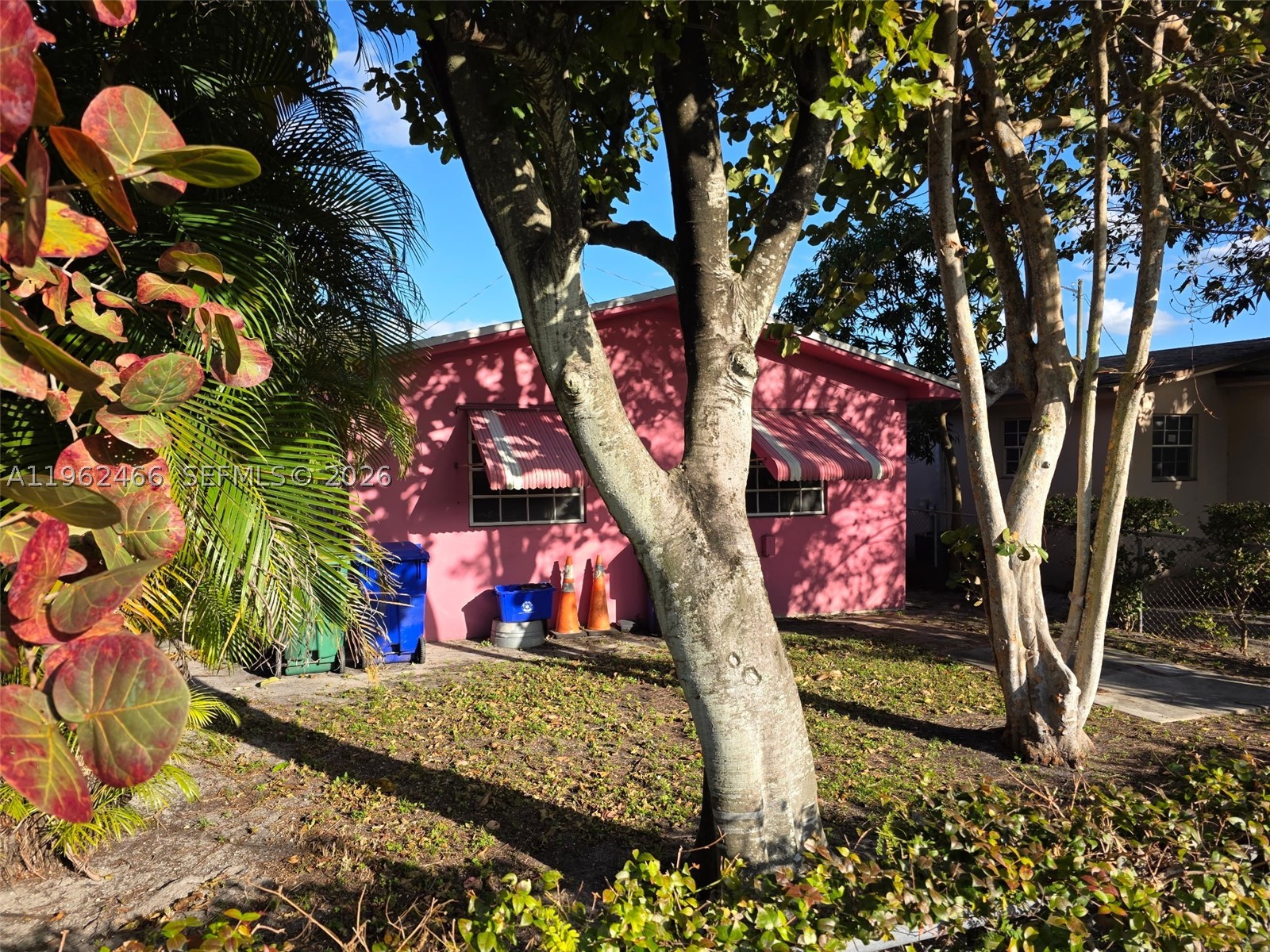 Miami photo 3