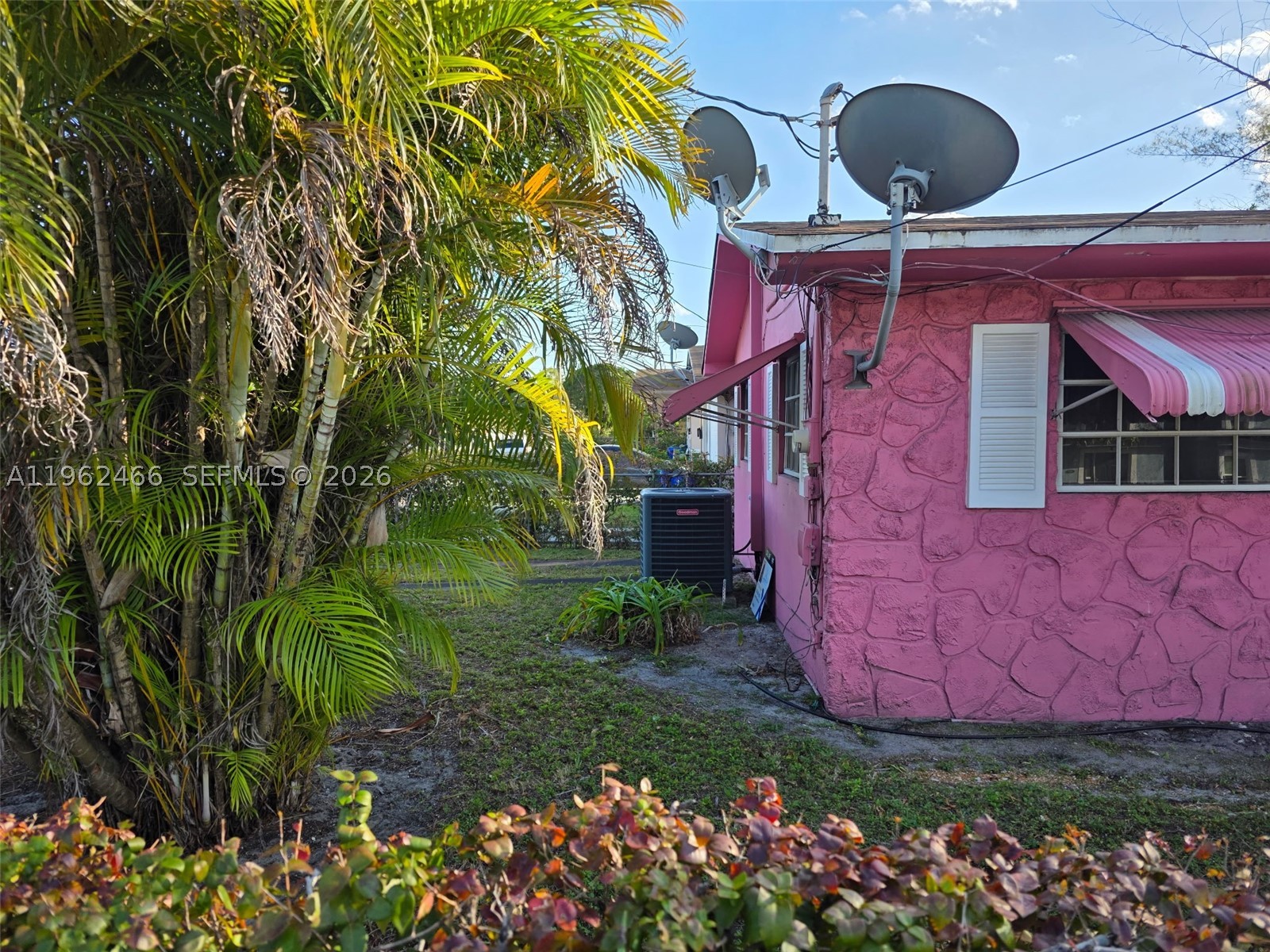 Miami photo 5