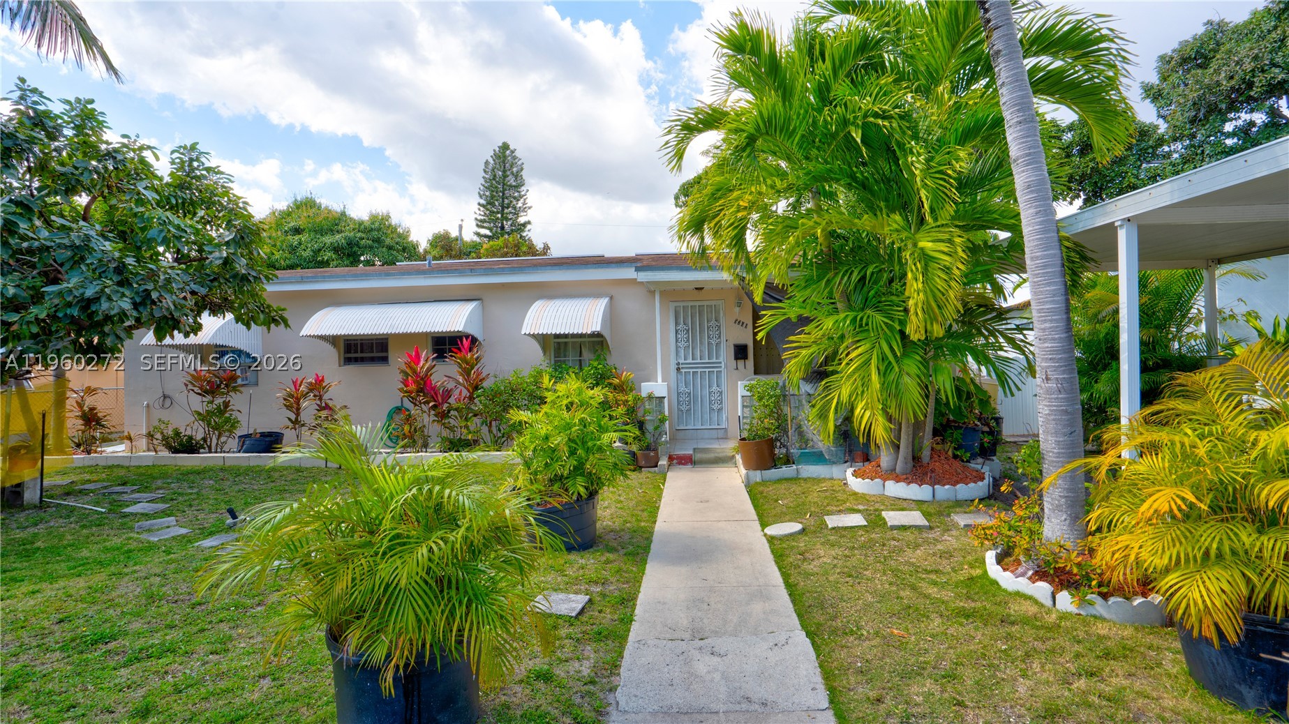North Miami Beach photo 3