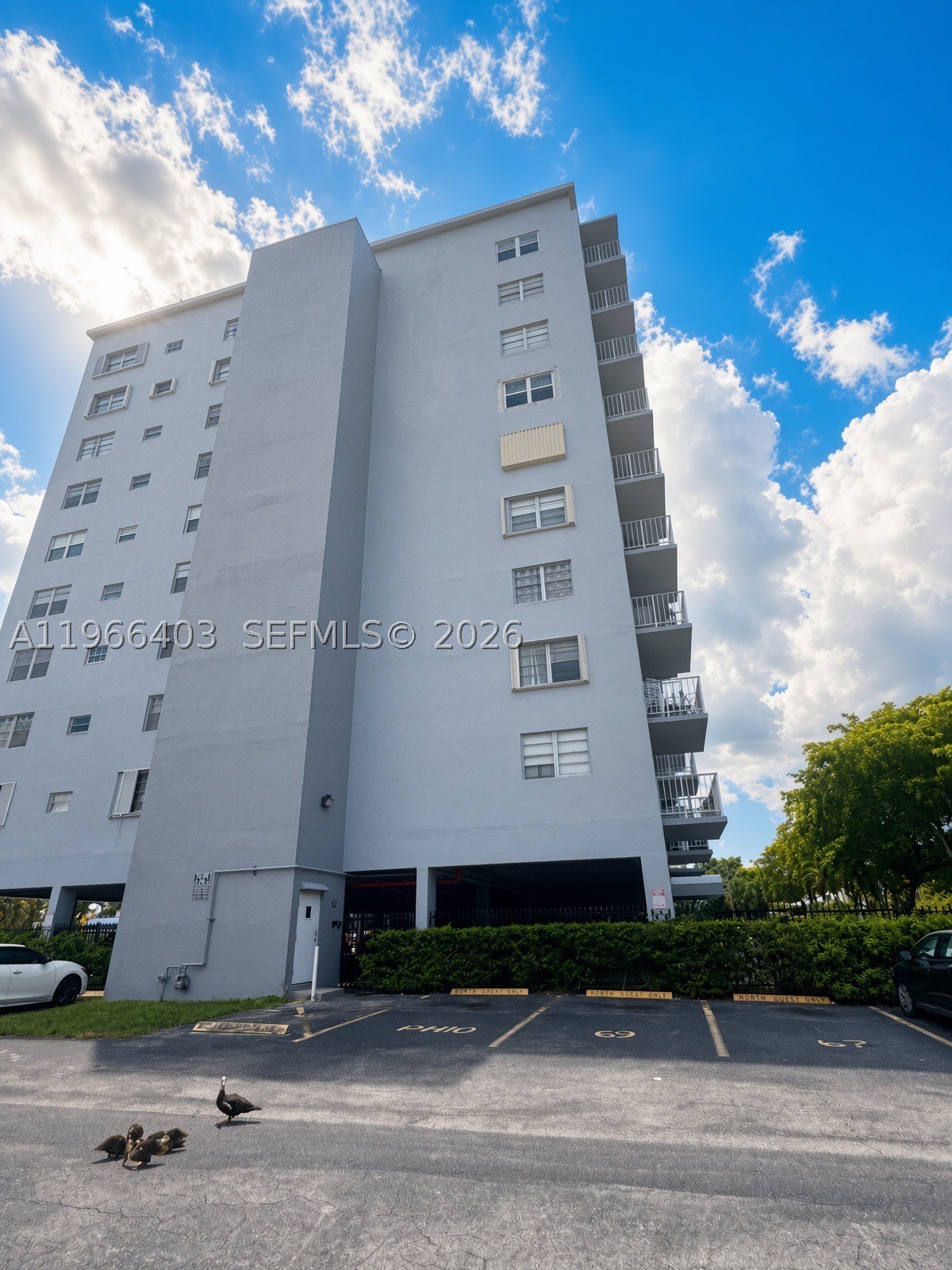 North Miami photo 2