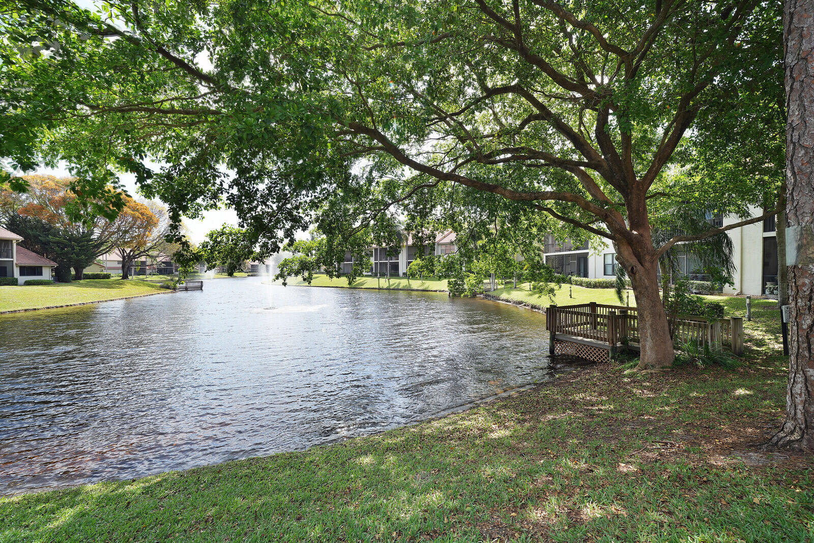Boca Raton photo 5