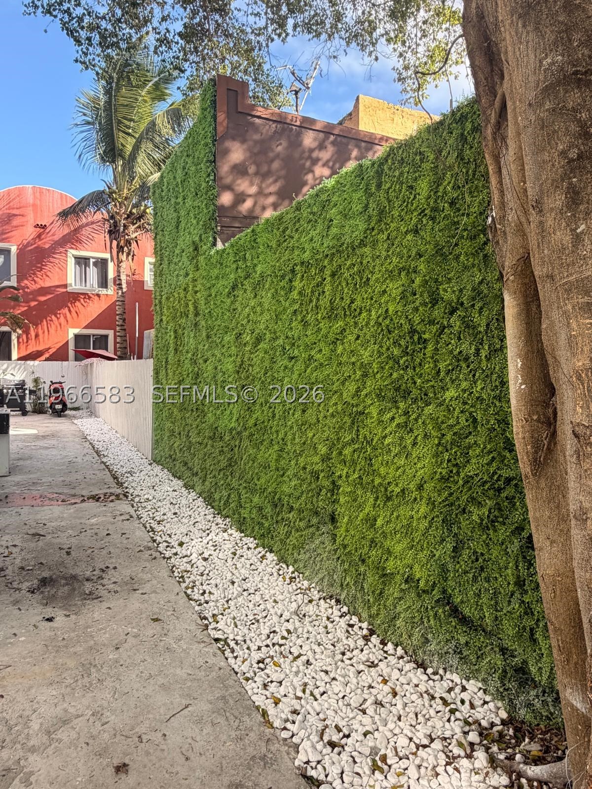 Miami photo 4