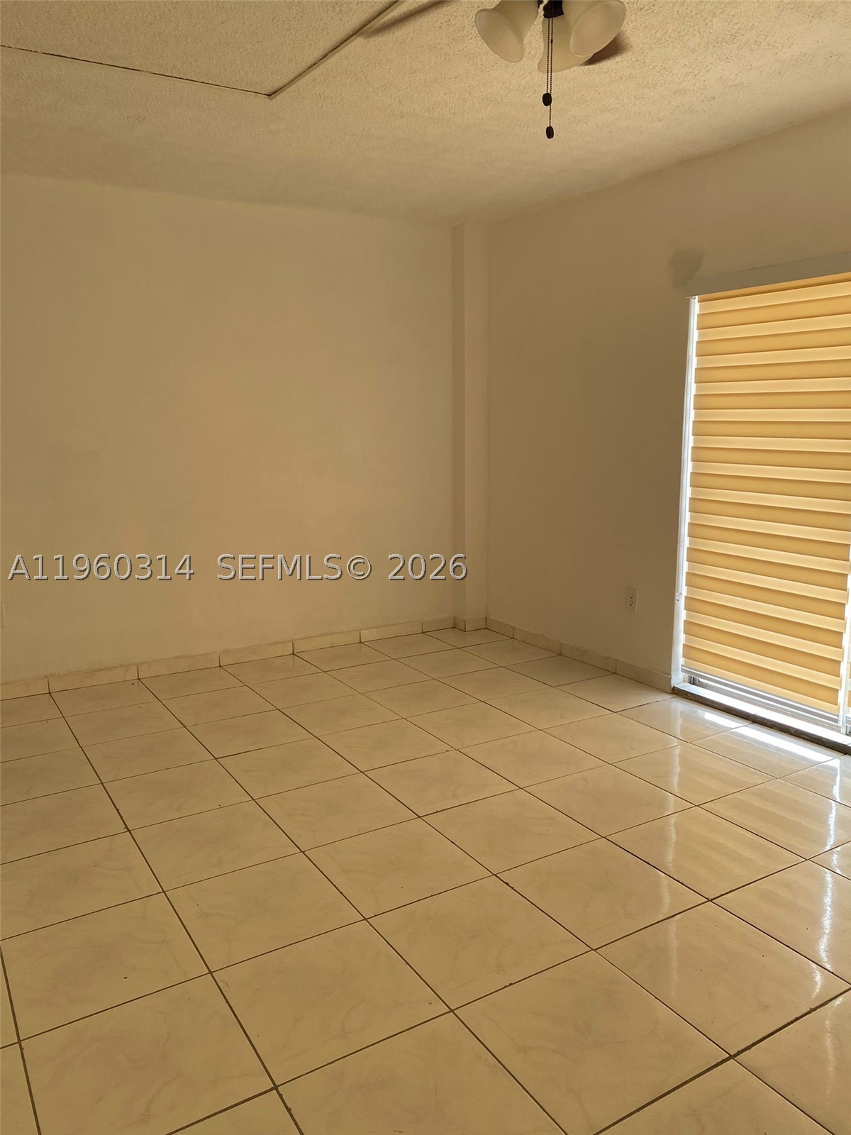 North Miami photo 4