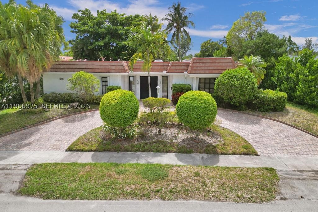 Miami photo 3