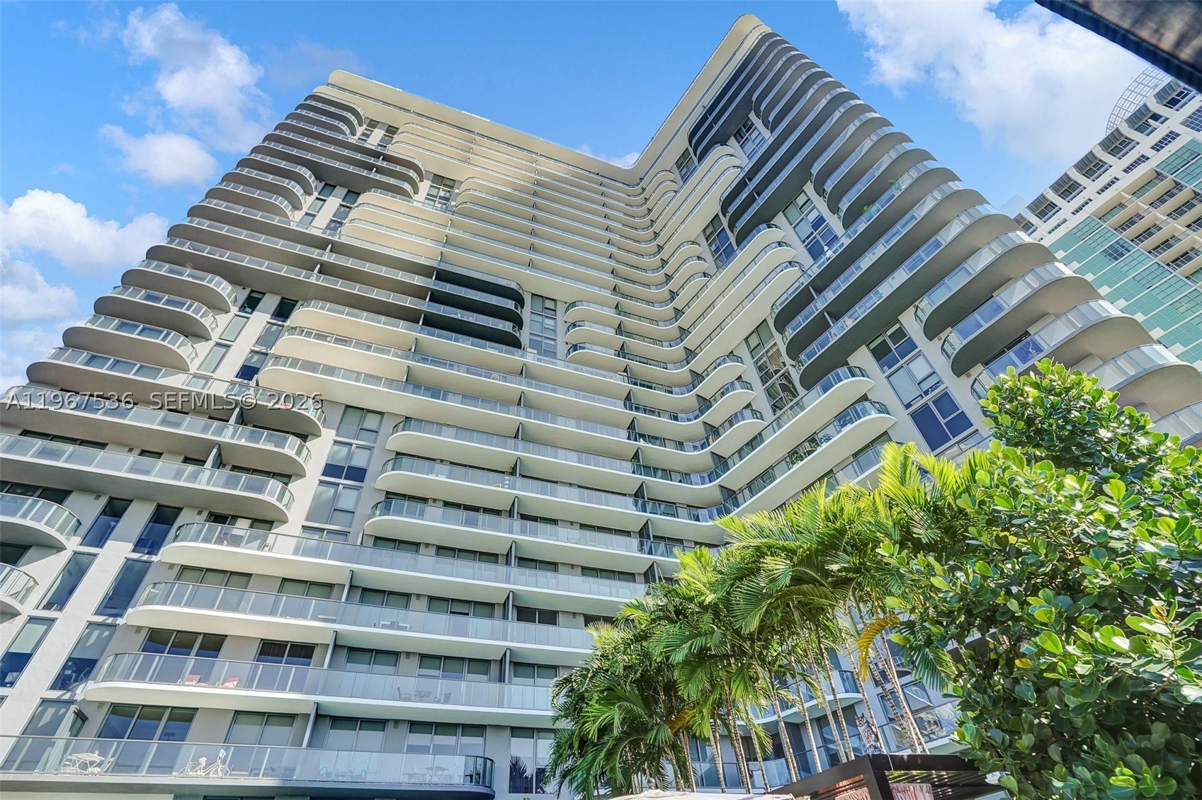 Miami photo 4