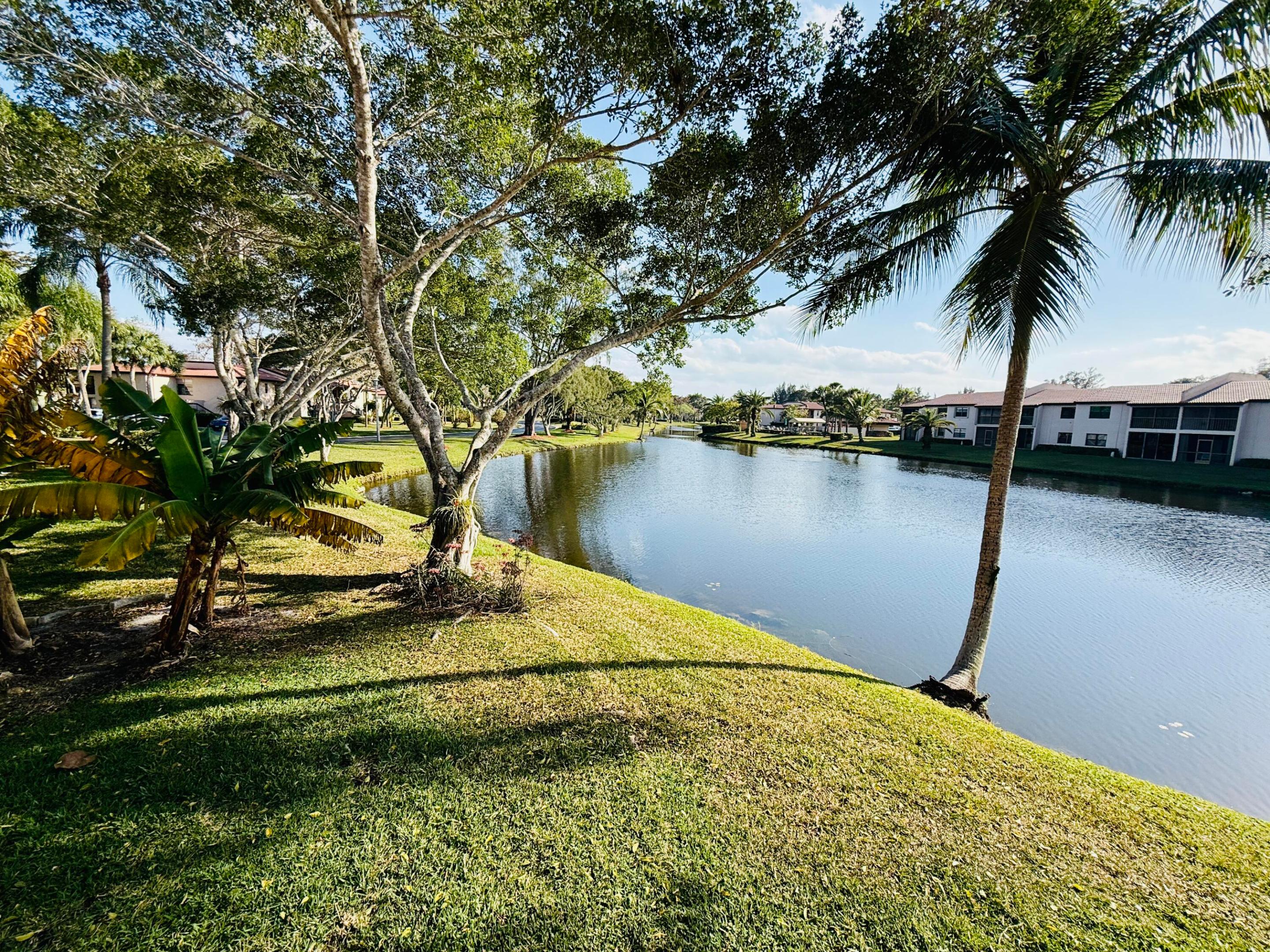 Boca Raton photo 3