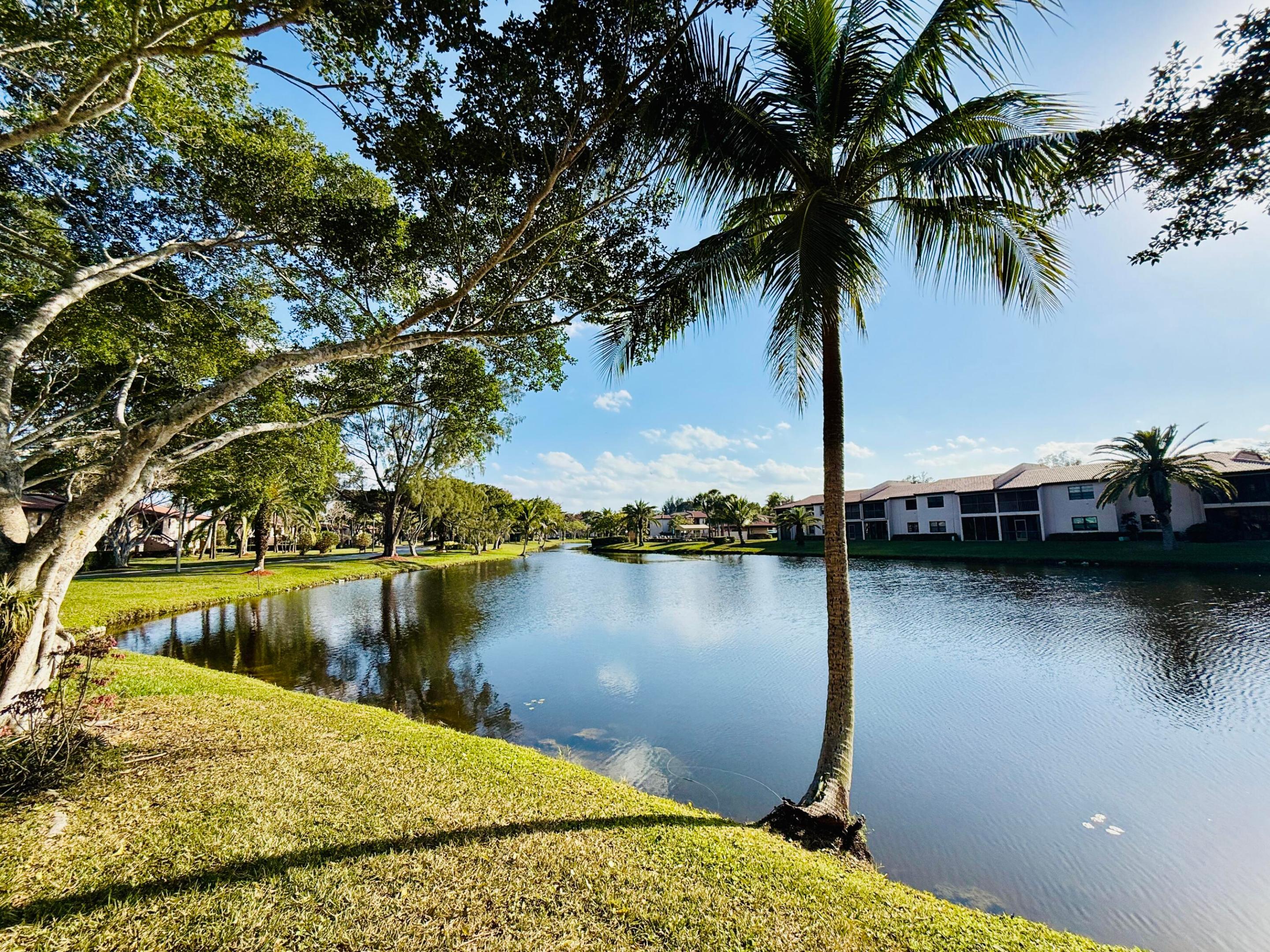 Boca Raton photo 4
