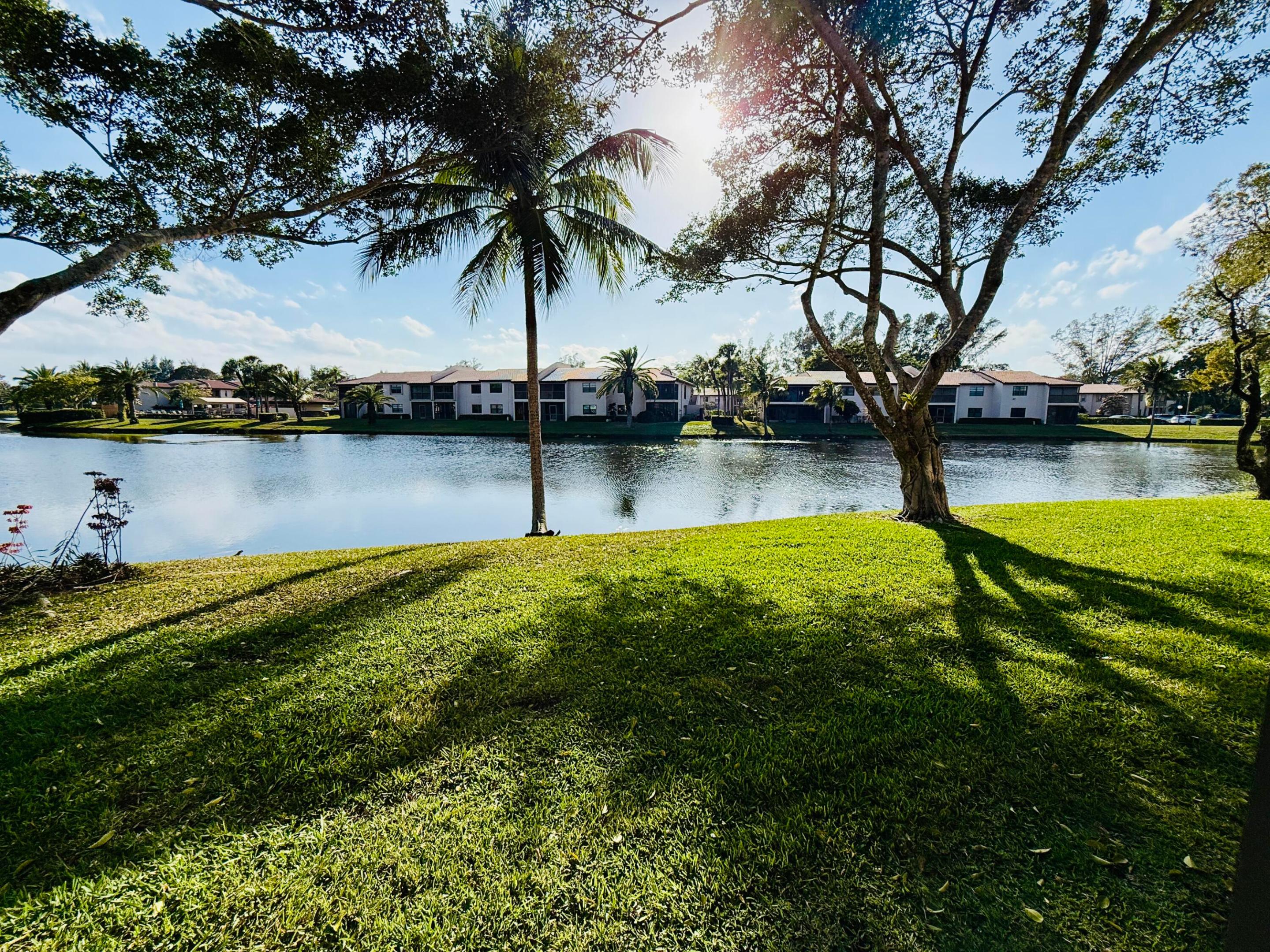 Boca Raton photo 5