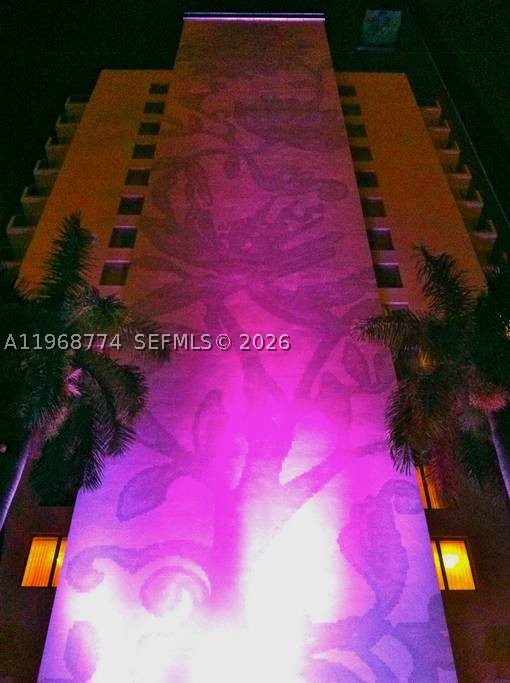 Miami Beach photo 5
