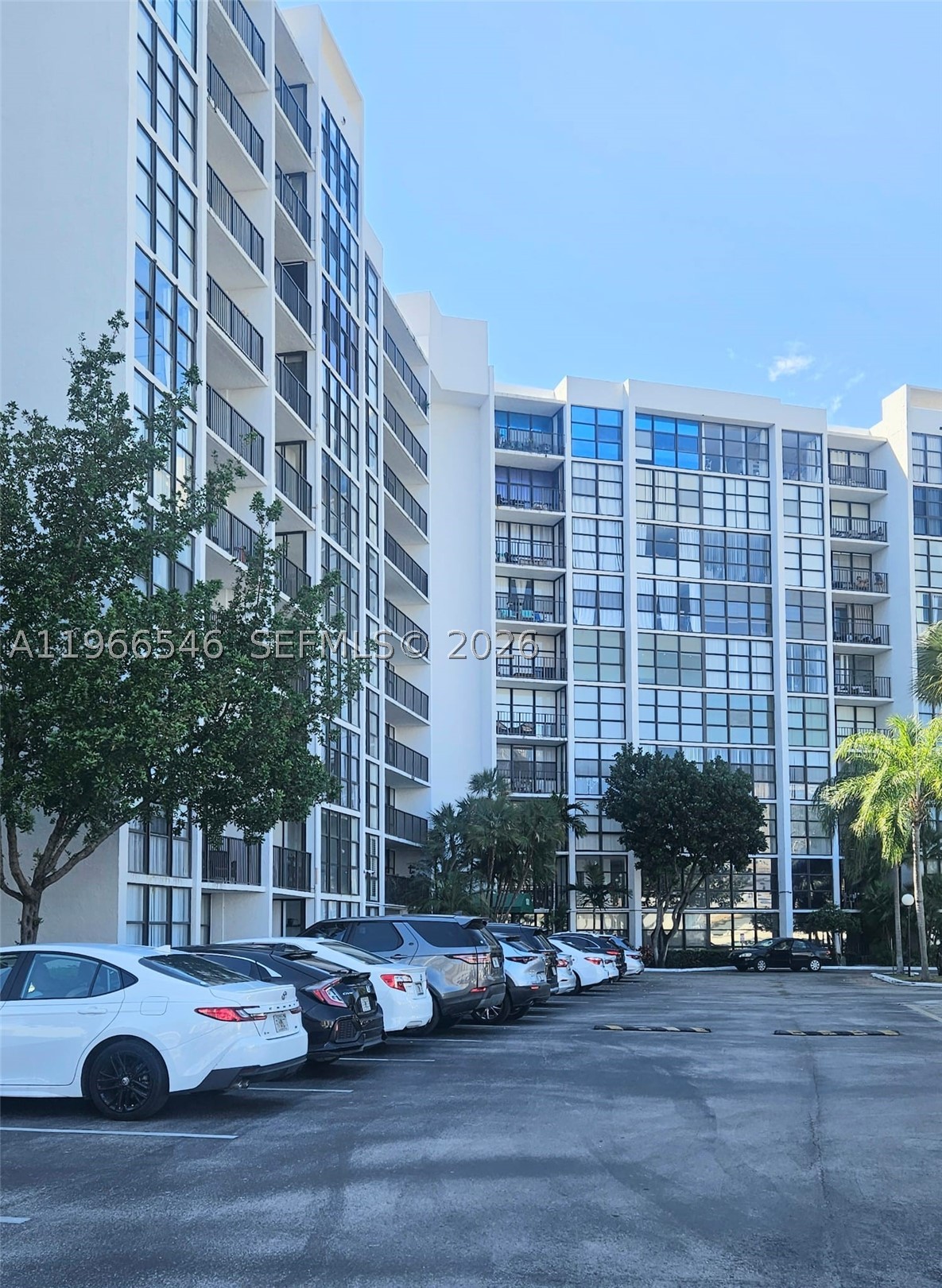 Hallandale Beach photo 1