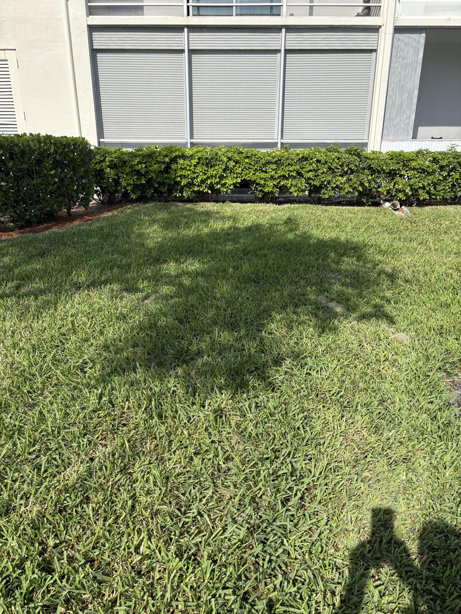 Boca Raton photo 5