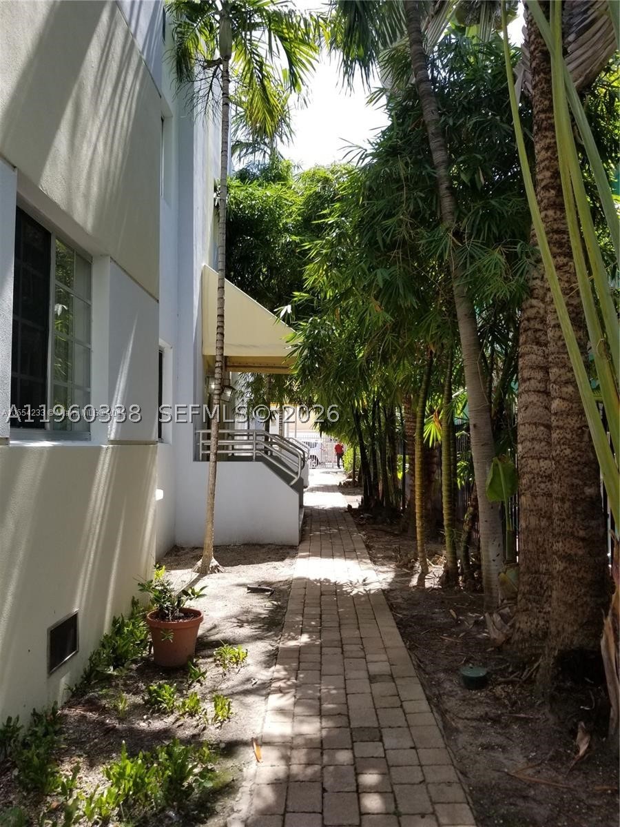 Miami Beach photo 5