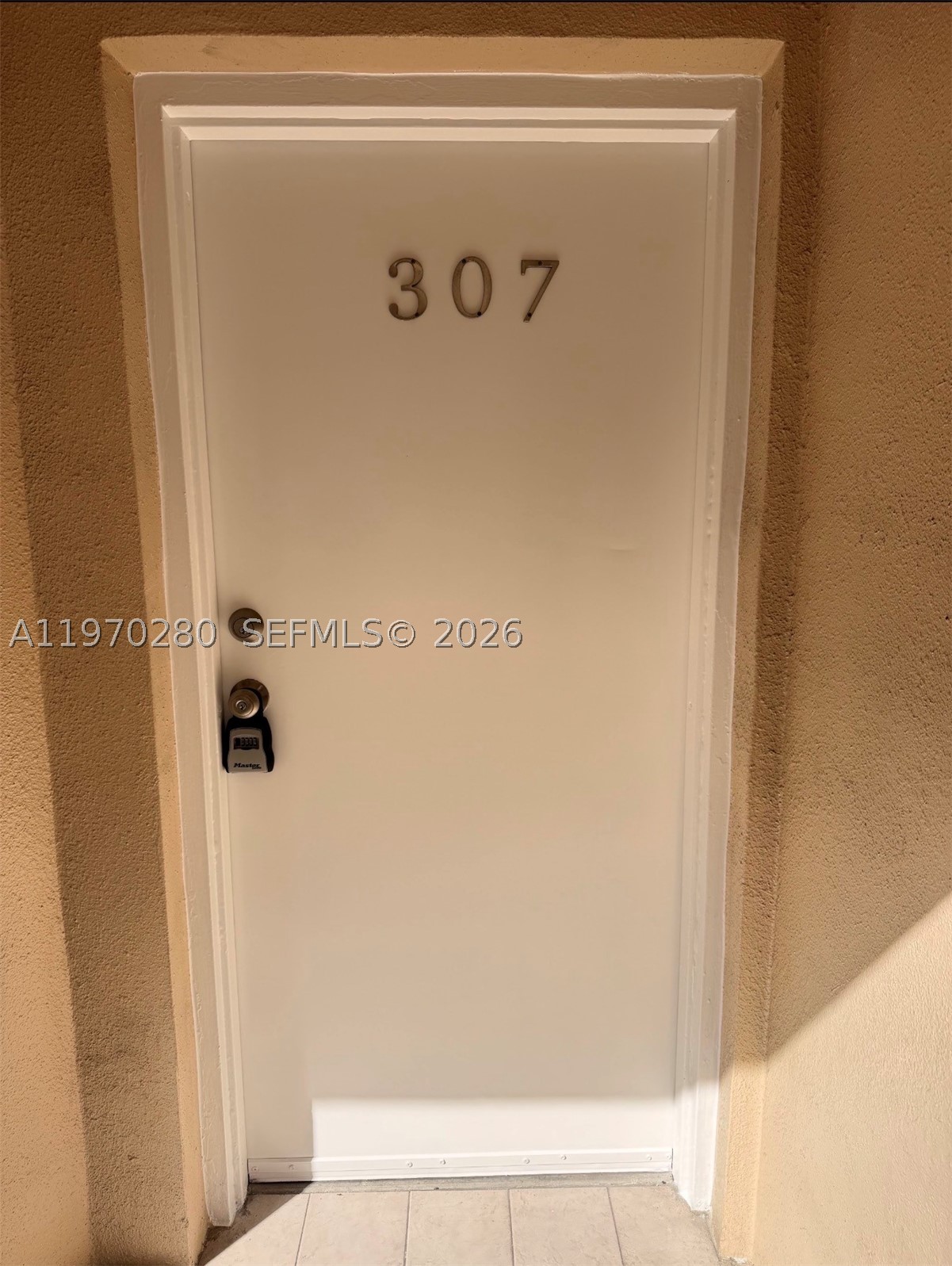 Miami photo 2