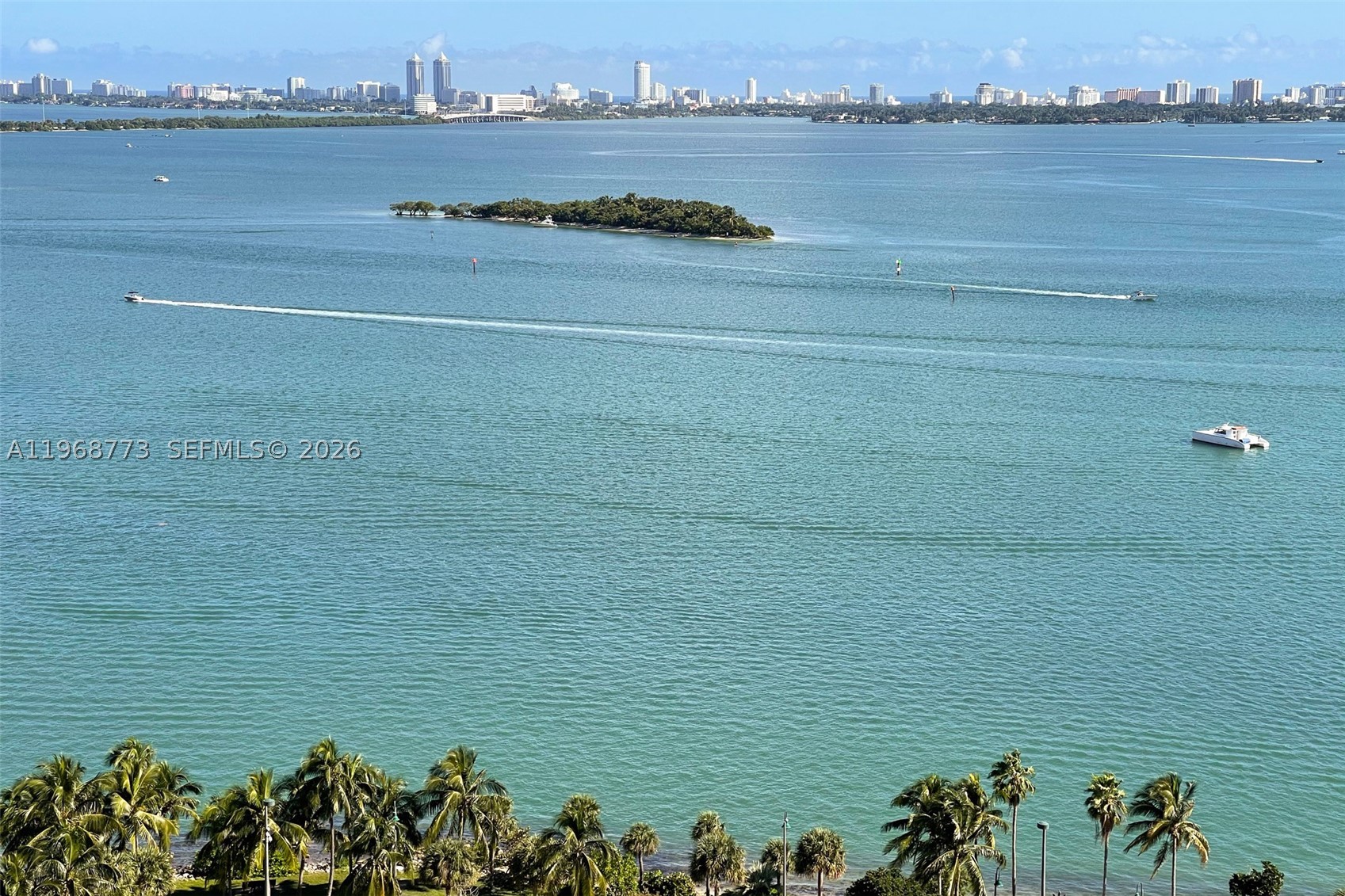 Miami photo 2