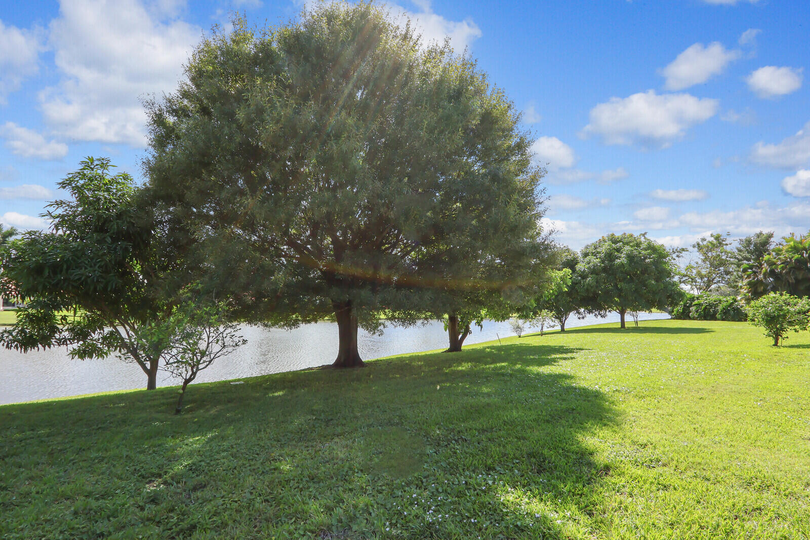 Palm Beach Gardens photo 4