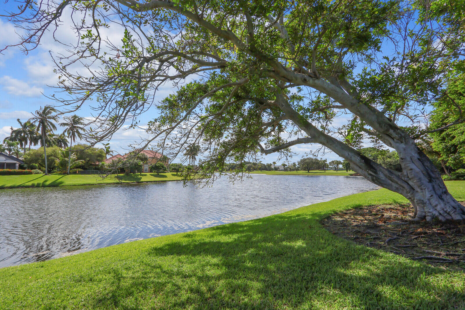 Palm Beach Gardens photo 5