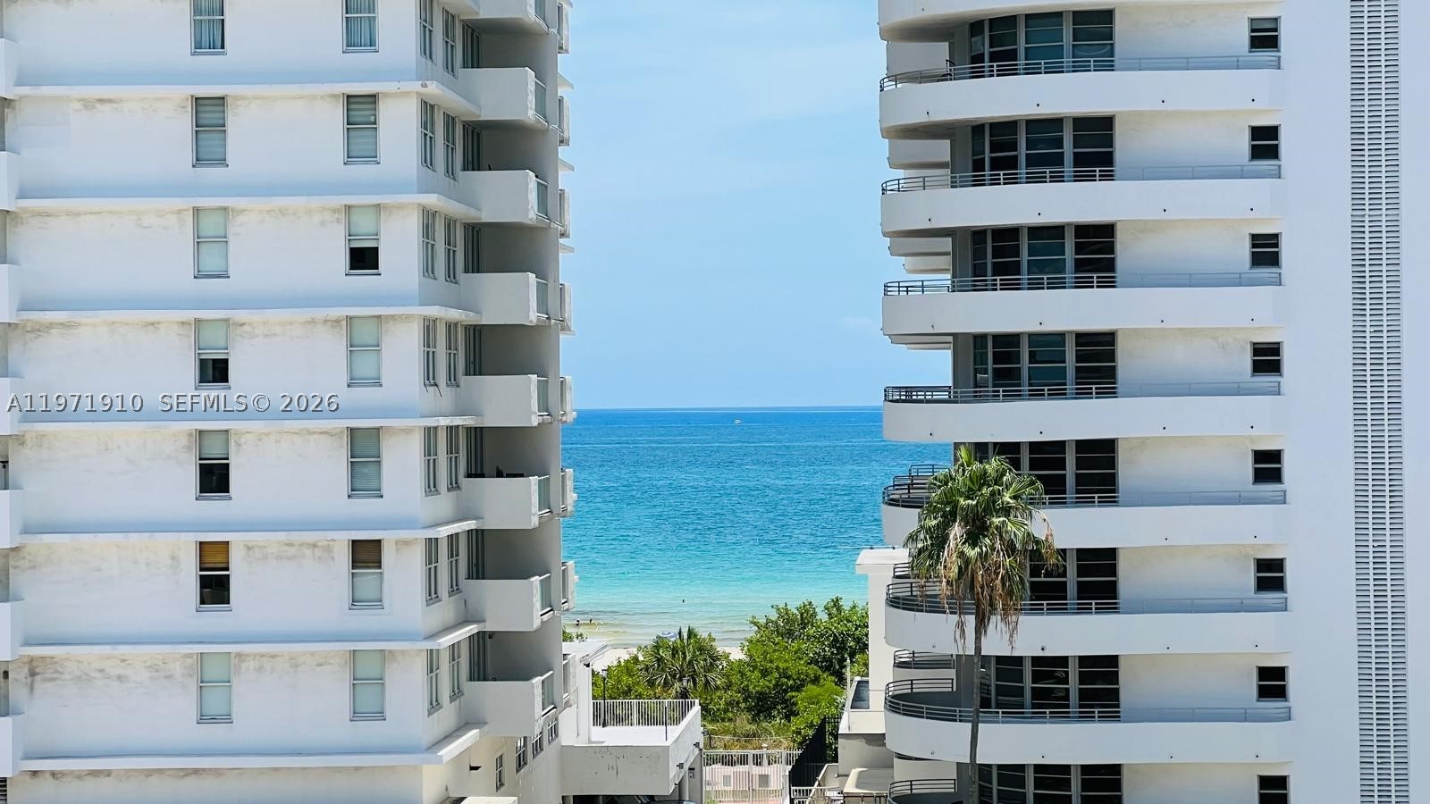 Miami Beach photo 5