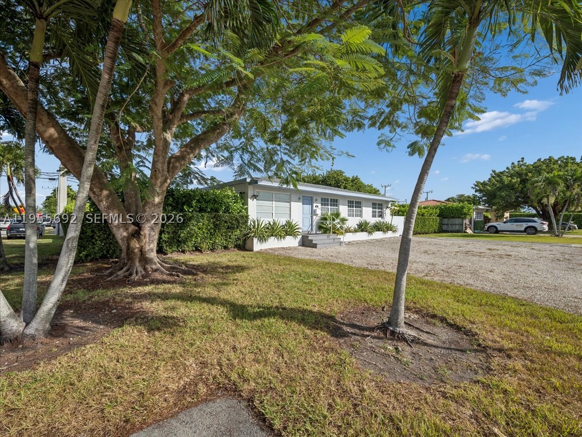 Miami photo 3