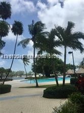 Miami photo 2