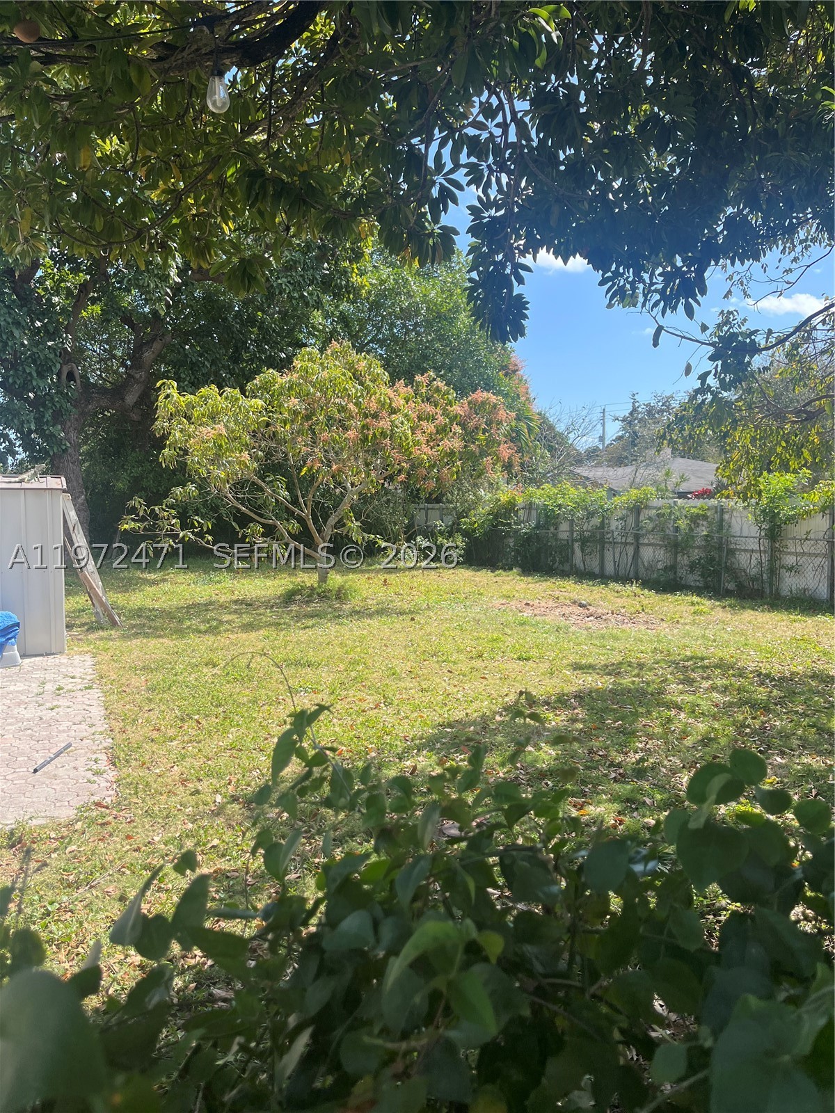 Miami photo 3